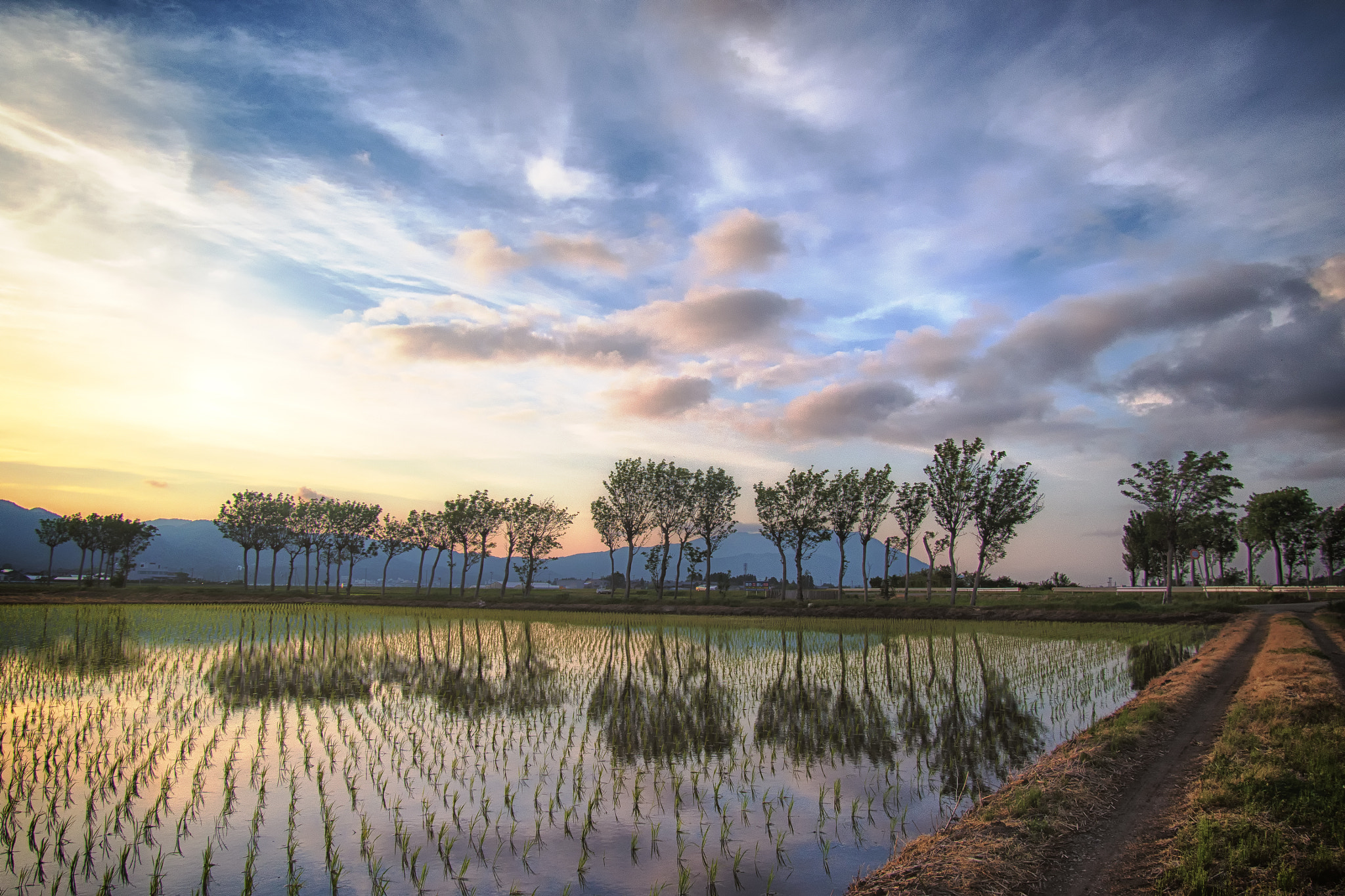 Olympus PEN E-P5 sample photo. Sunset photography