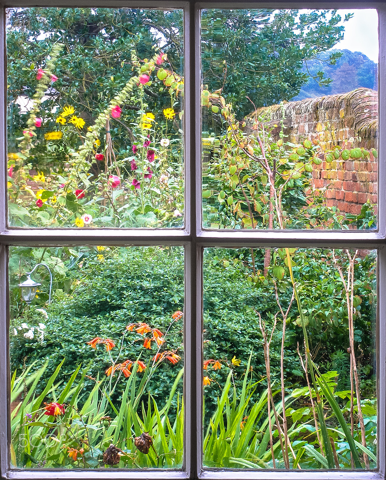 Olympus SP350 sample photo. Cottage garden through an old sash window photography