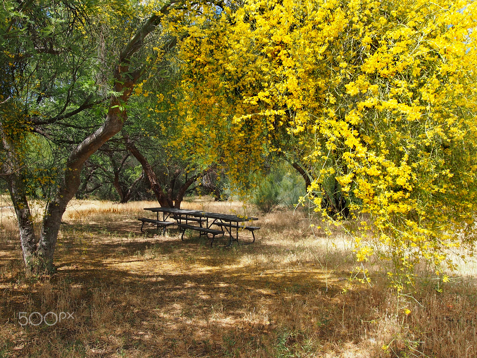 Olympus PEN E-P3 sample photo. Bench photography