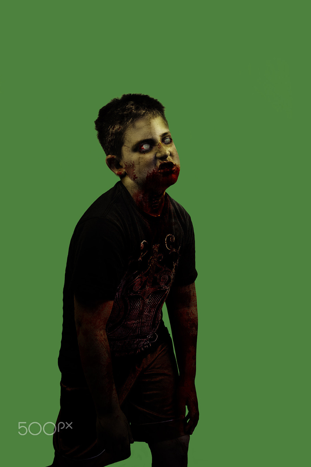 Nikon D5200 + Sigma 30mm F1.4 EX DC HSM sample photo. Bloody young boy zombie undead on green screen photography