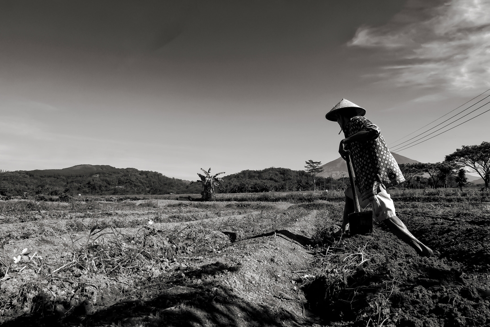 Fujifilm X-M1 + Fujifilm XC 16-50mm F3.5-5.6 OIS II sample photo. Morning activity photography