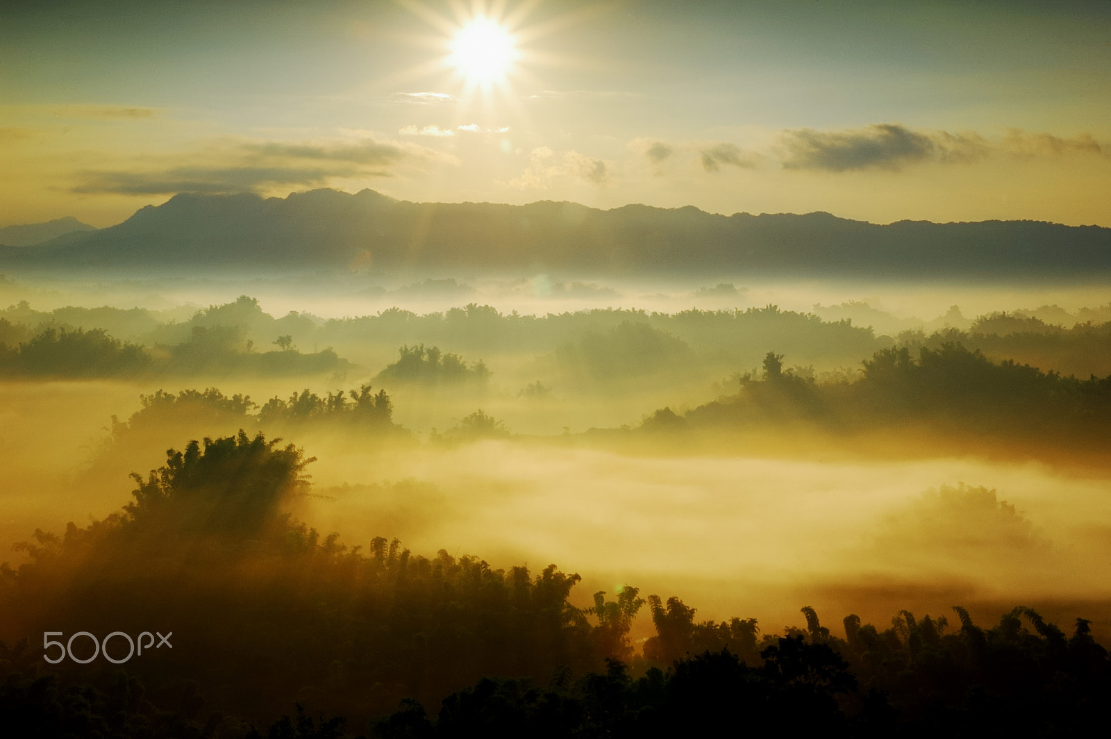 Nikon D40 sample photo. Brilliant rays photography