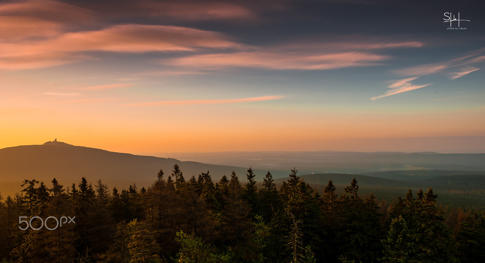 Sigma 18-50mm F2.8-4.5 DC OS HSM sample photo. Germany forest photography
