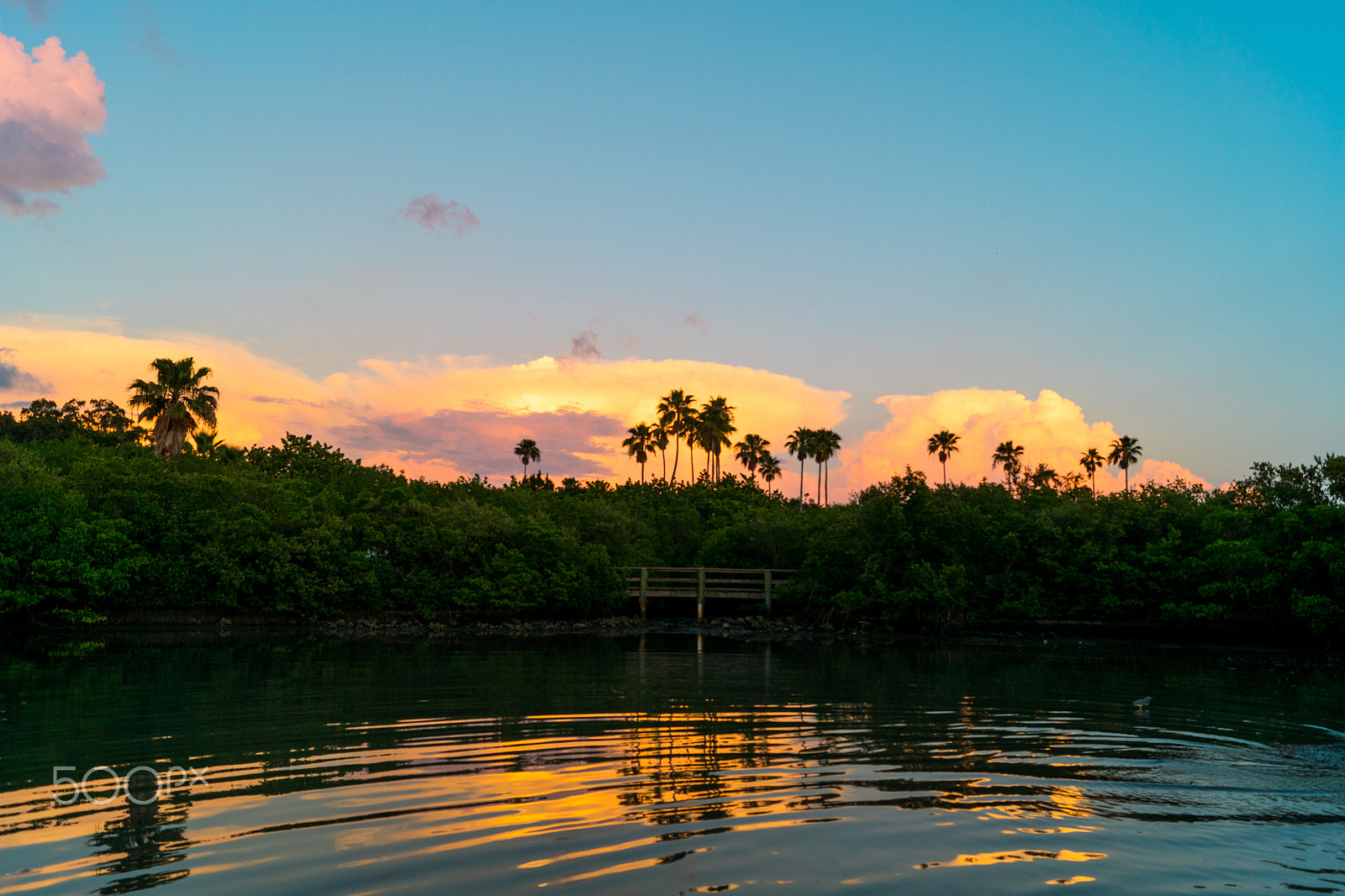 Sony DT 18-55mm F3.5-5.6 SAM II sample photo. Sunset at jungle prada de navaez, florida photography