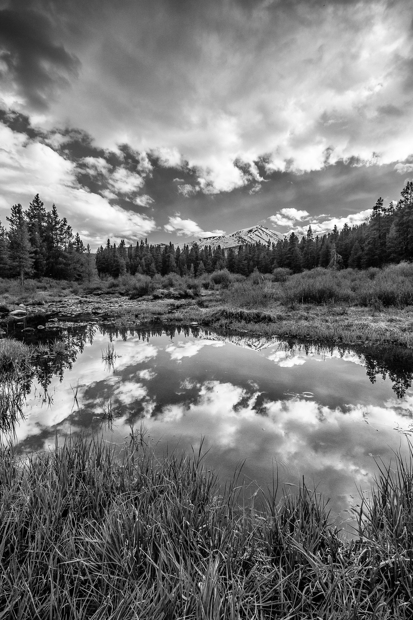 Sigma 10-20mm F4-5.6 EX DC HSM sample photo. Hlafmoon pond 1 photography