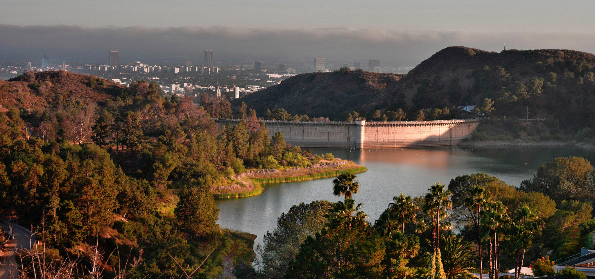 Nikon D500 sample photo. Hollywood lake photography