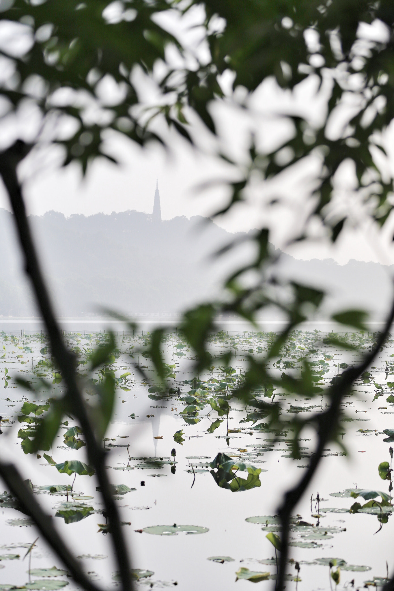 Canon EF 70-200mm F2.8L IS II USM sample photo. 里西湖 photography