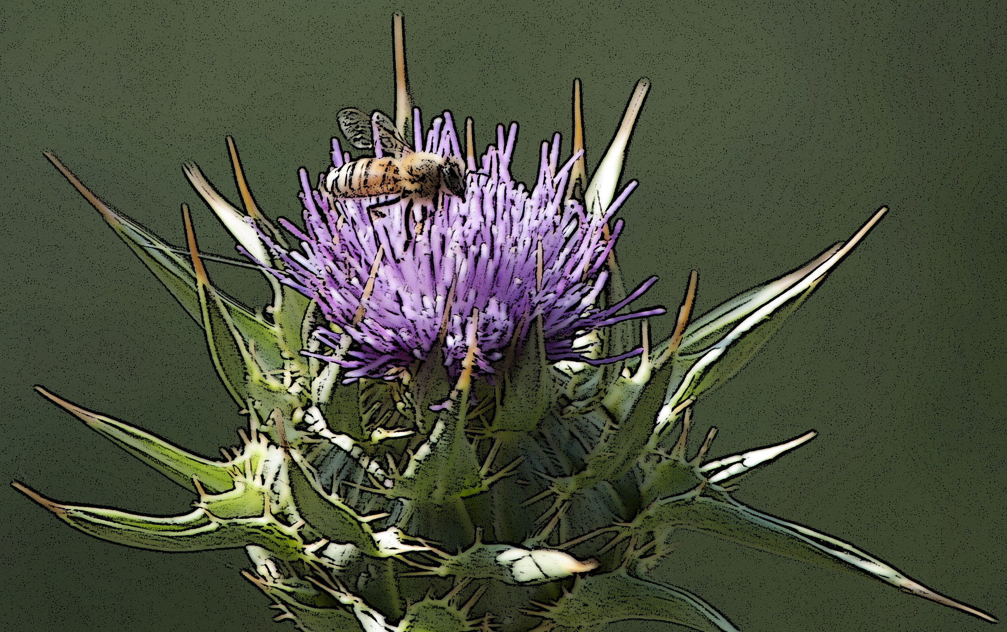Nikon D80 sample photo. Bee sharp! photography