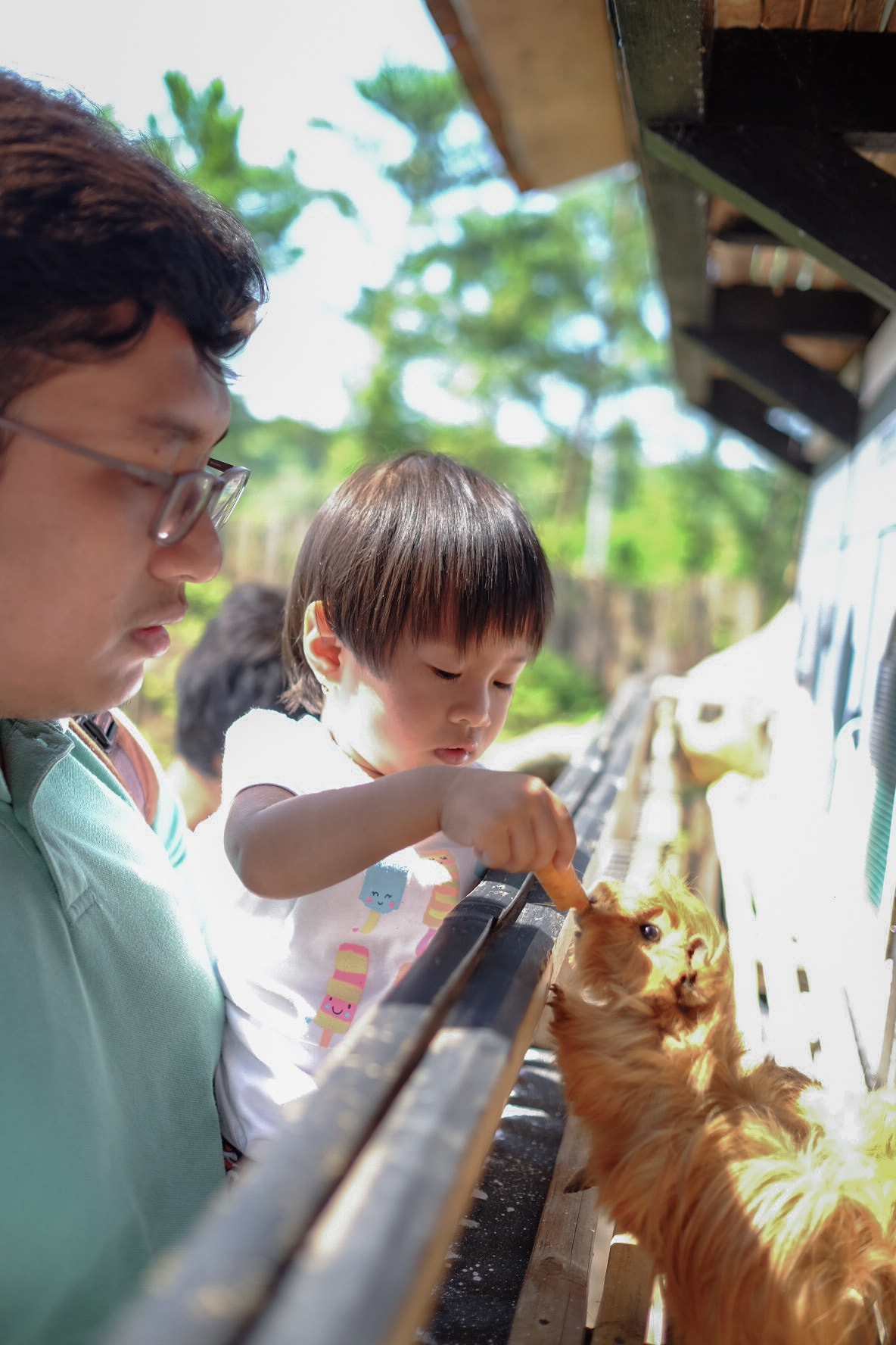 Fujifilm X-E2S + Fujifilm XF 23mm F1.4 R sample photo. Animal love education photography