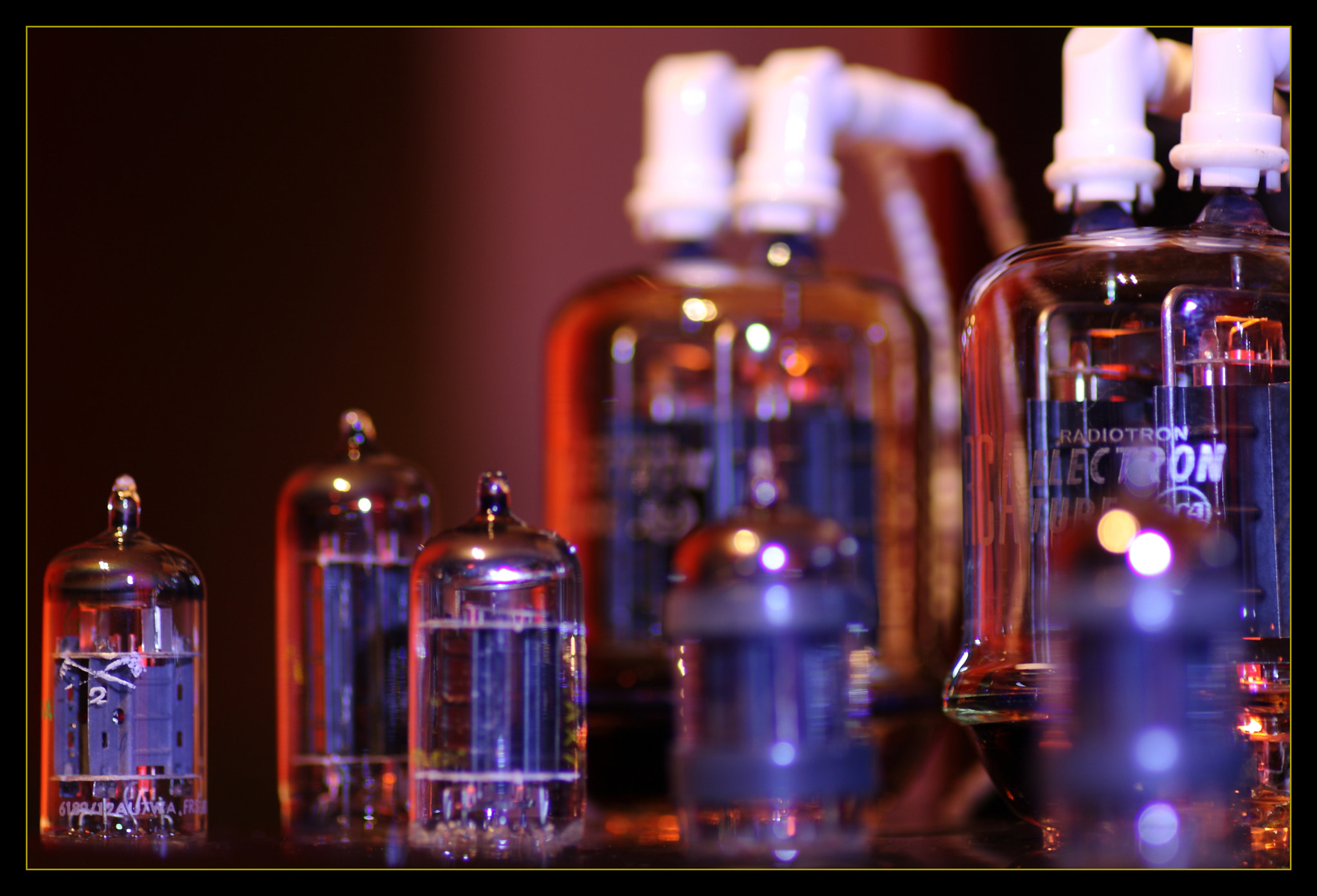 Tamron SP AF 90mm F2.8 Di Macro sample photo. 12223 photography