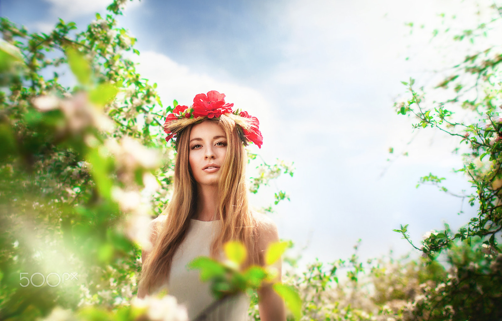 Canon EOS 50D + Sigma 35mm F1.4 DG HSM Art sample photo. La primavera photography