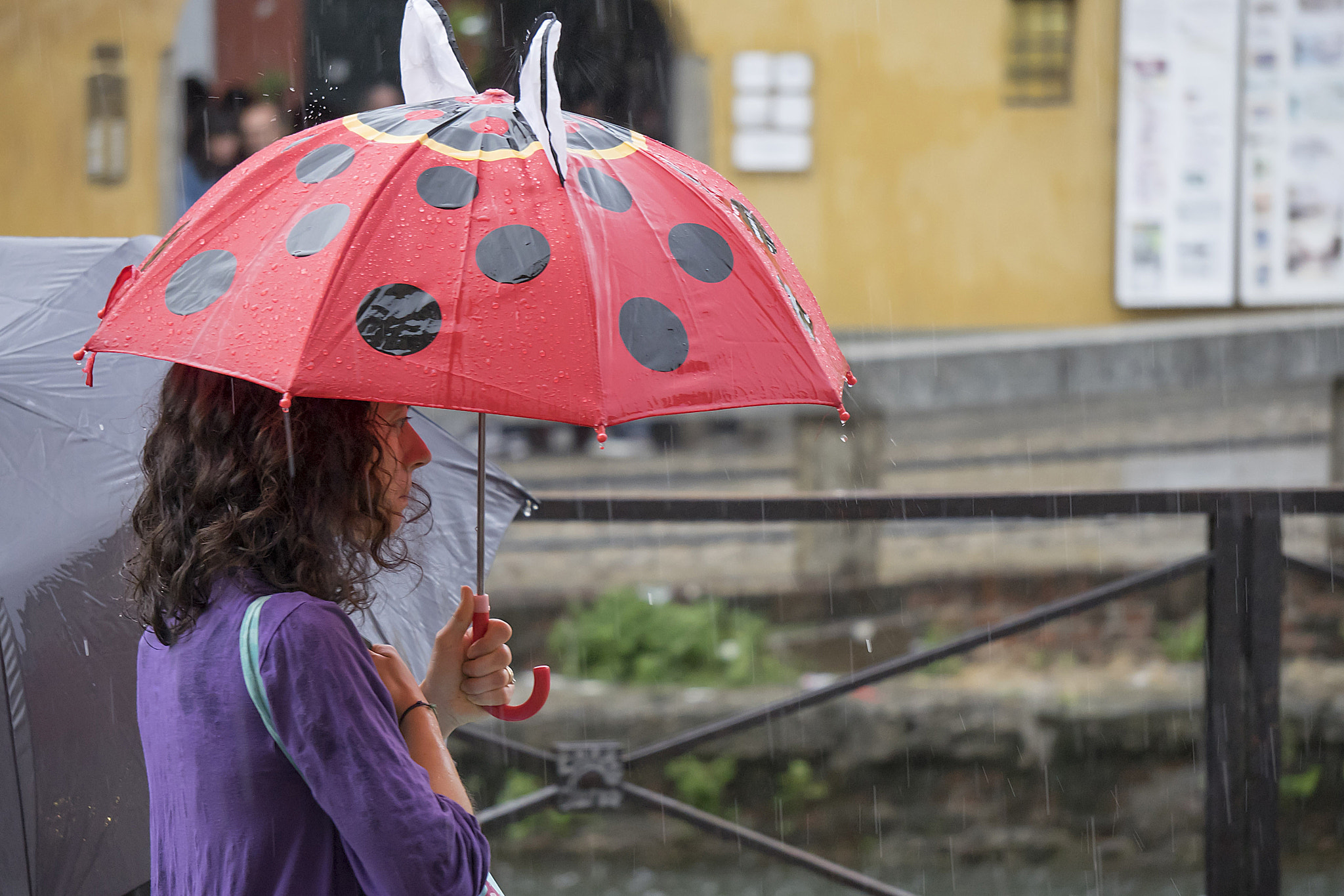 Sony E 55-210mm F4.5-6.3 OSS sample photo. Nice..., but too small photography