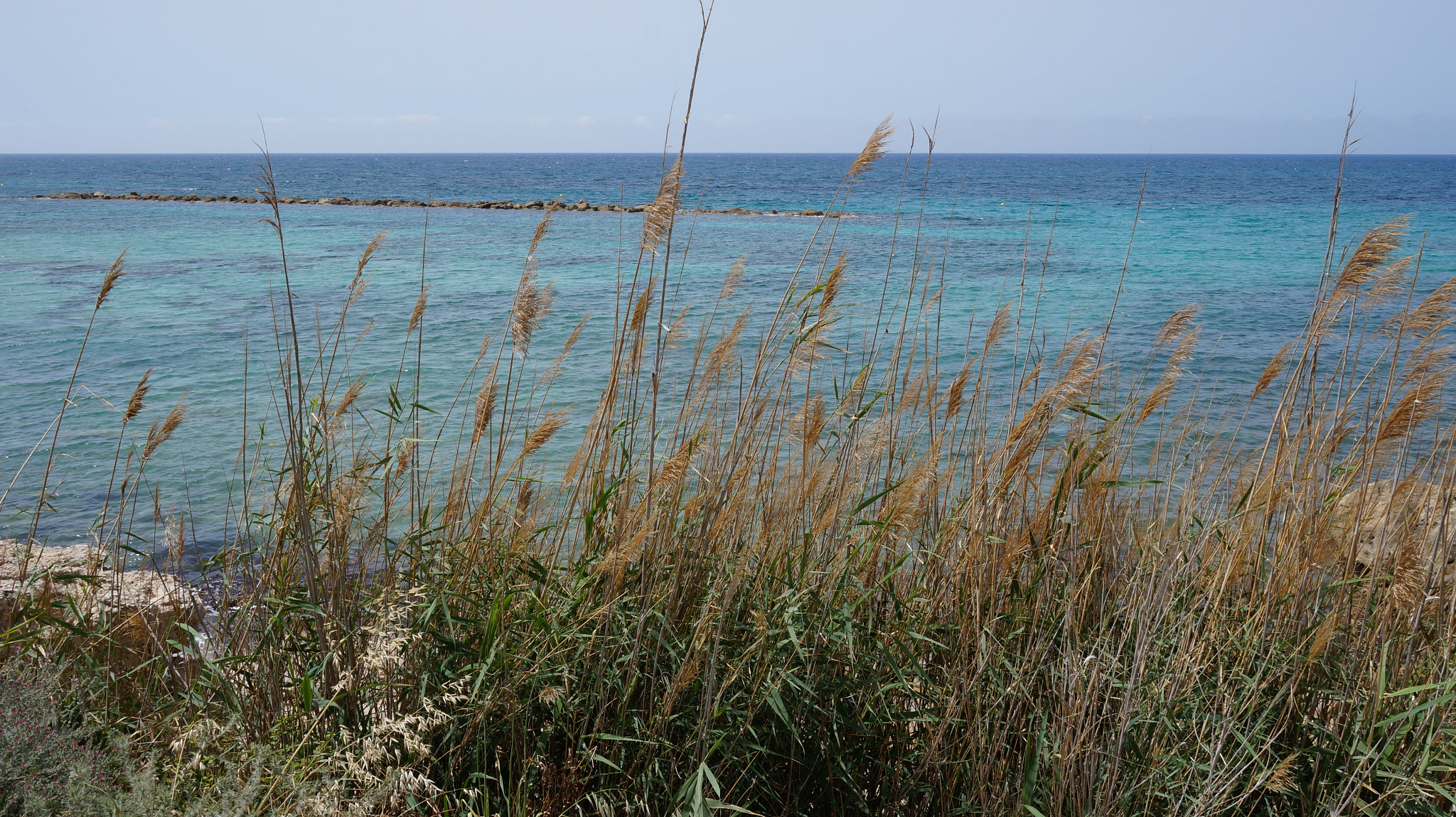 Sony E 18-50mm F4-5.6 sample photo. Sea coast photography