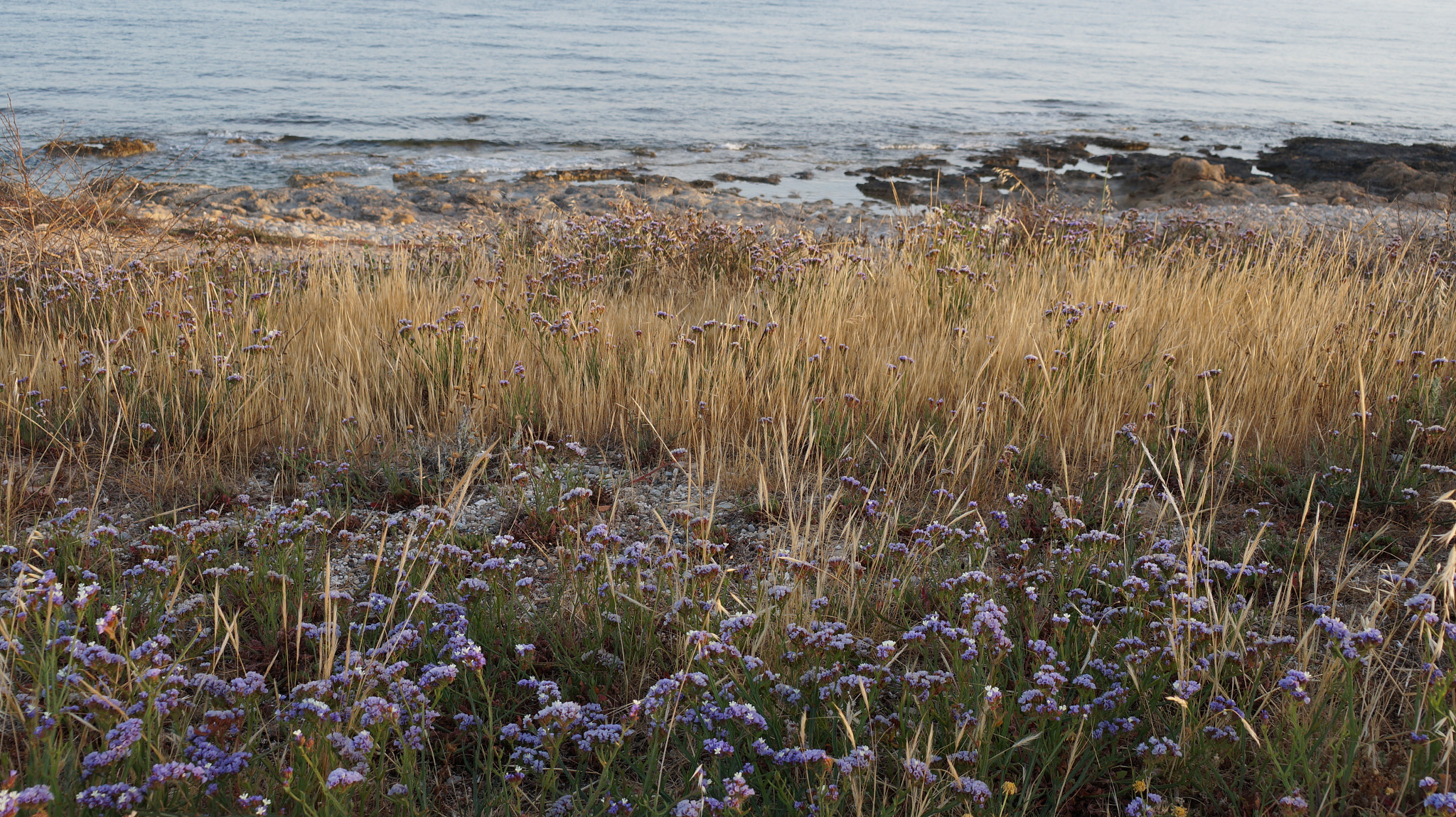 Sony E 18-50mm F4-5.6 sample photo. Sea coast photography