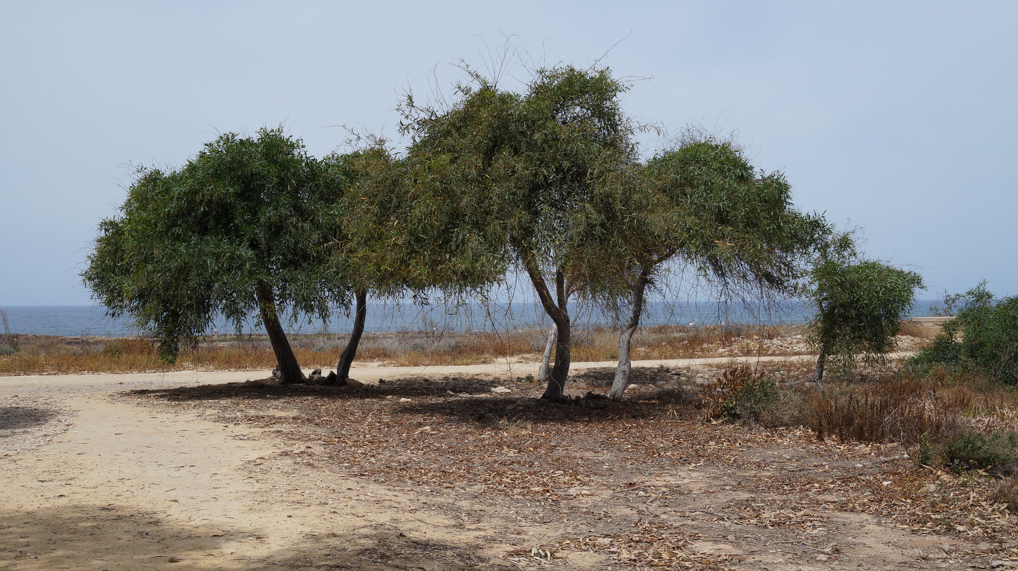 Sony E 18-50mm F4-5.6 sample photo. Kato pafos photography
