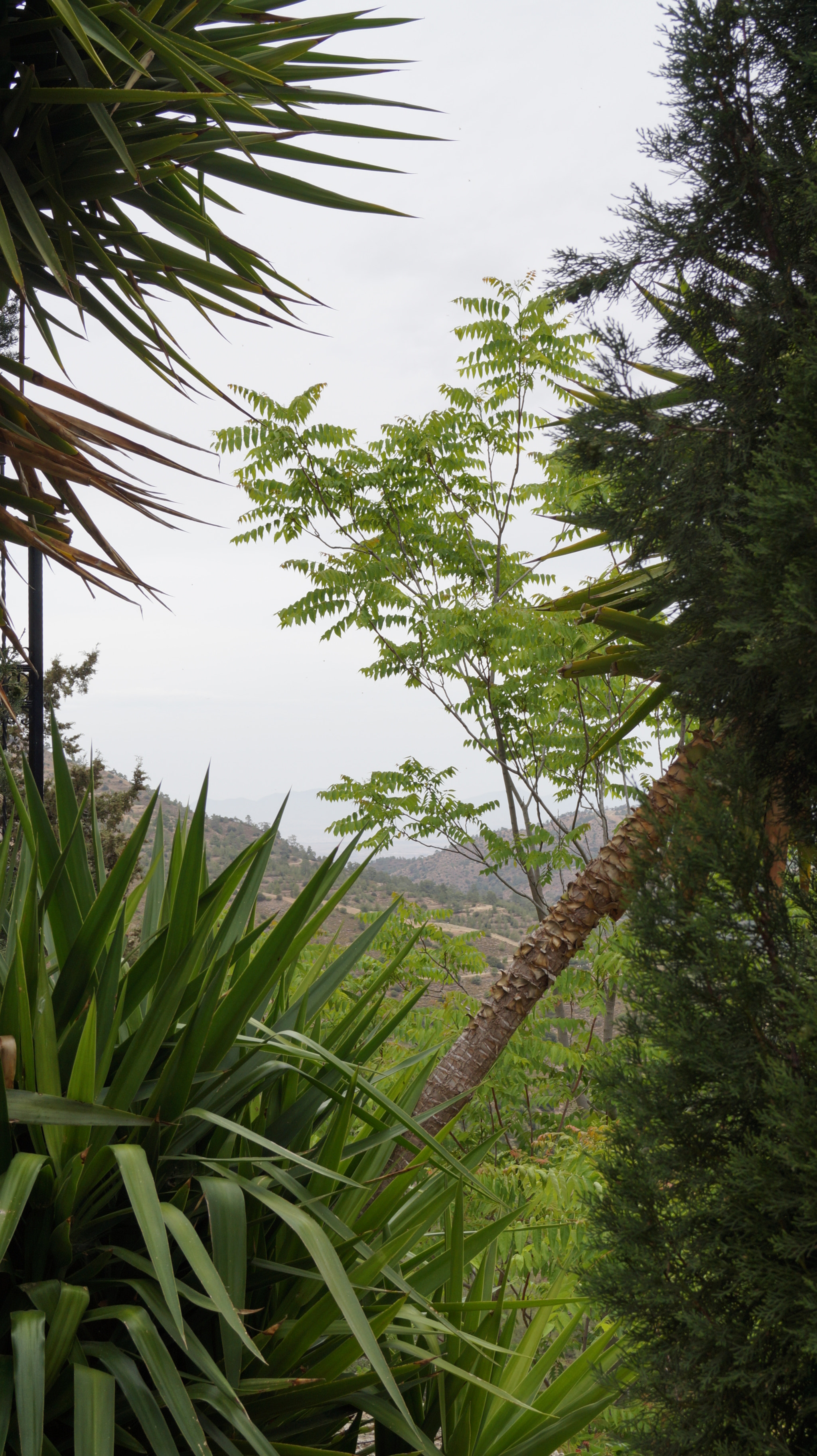 Sony E 18-50mm F4-5.6 sample photo. Mountian nature photography