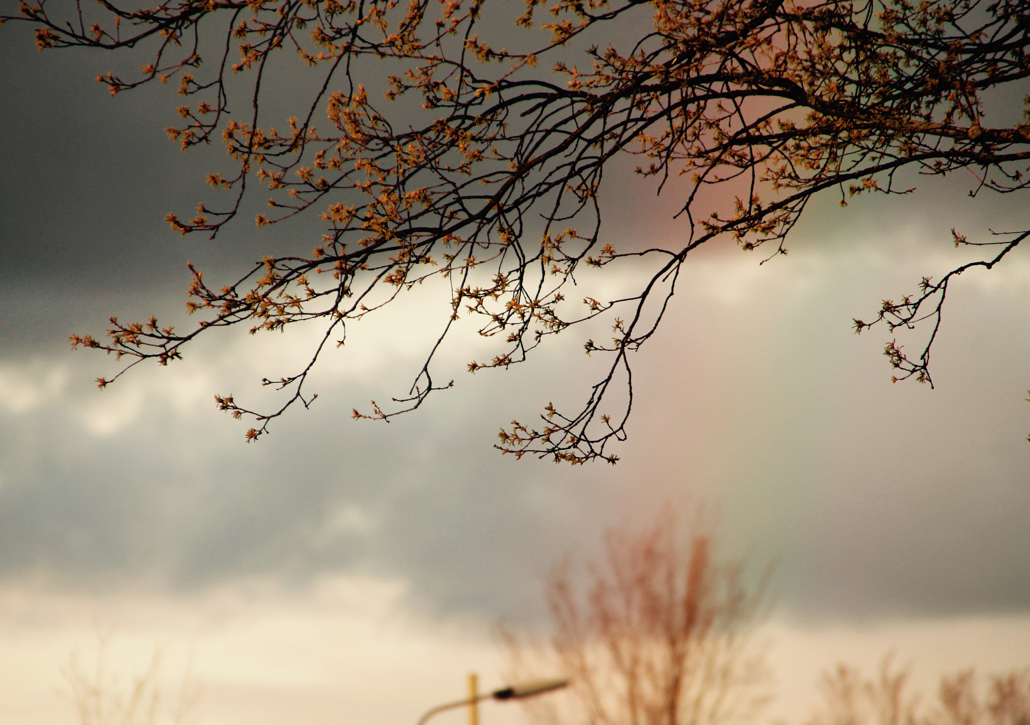 Canon 18-250mm sample photo