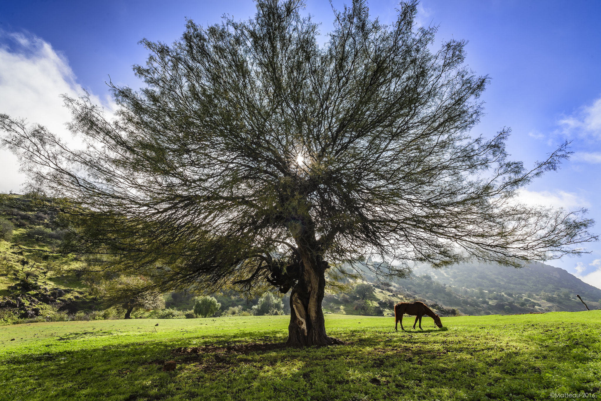 Nikon D600 sample photo. Hdr photography