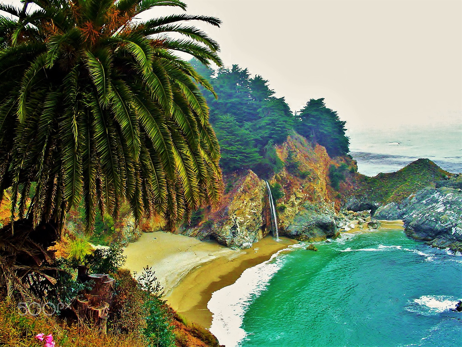 Sony DSC-P52 sample photo. Northern california coast photography