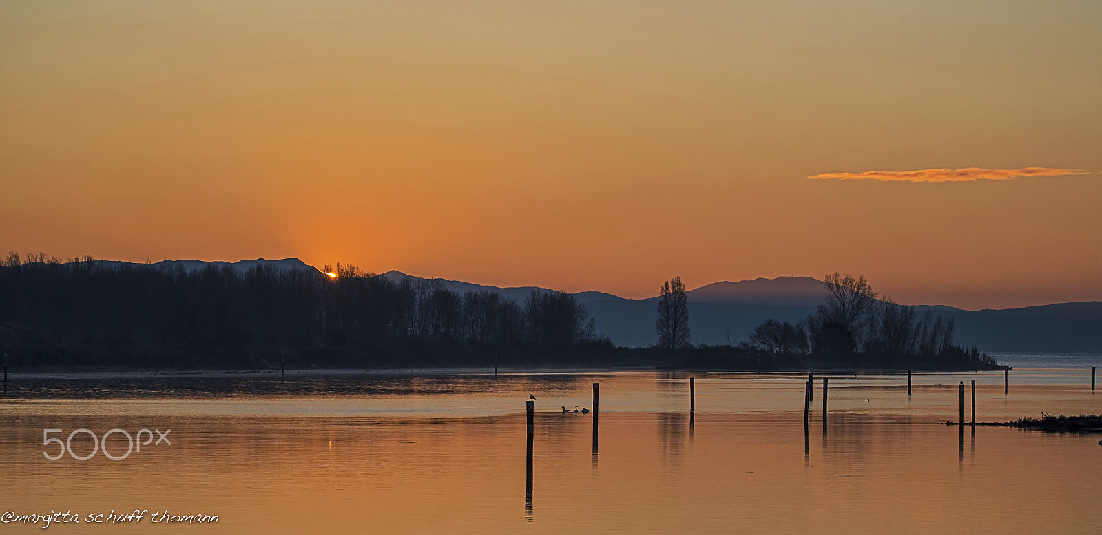 Tamron SP 150-600mm F5-6.3 Di VC USD sample photo. Sunrising... photography
