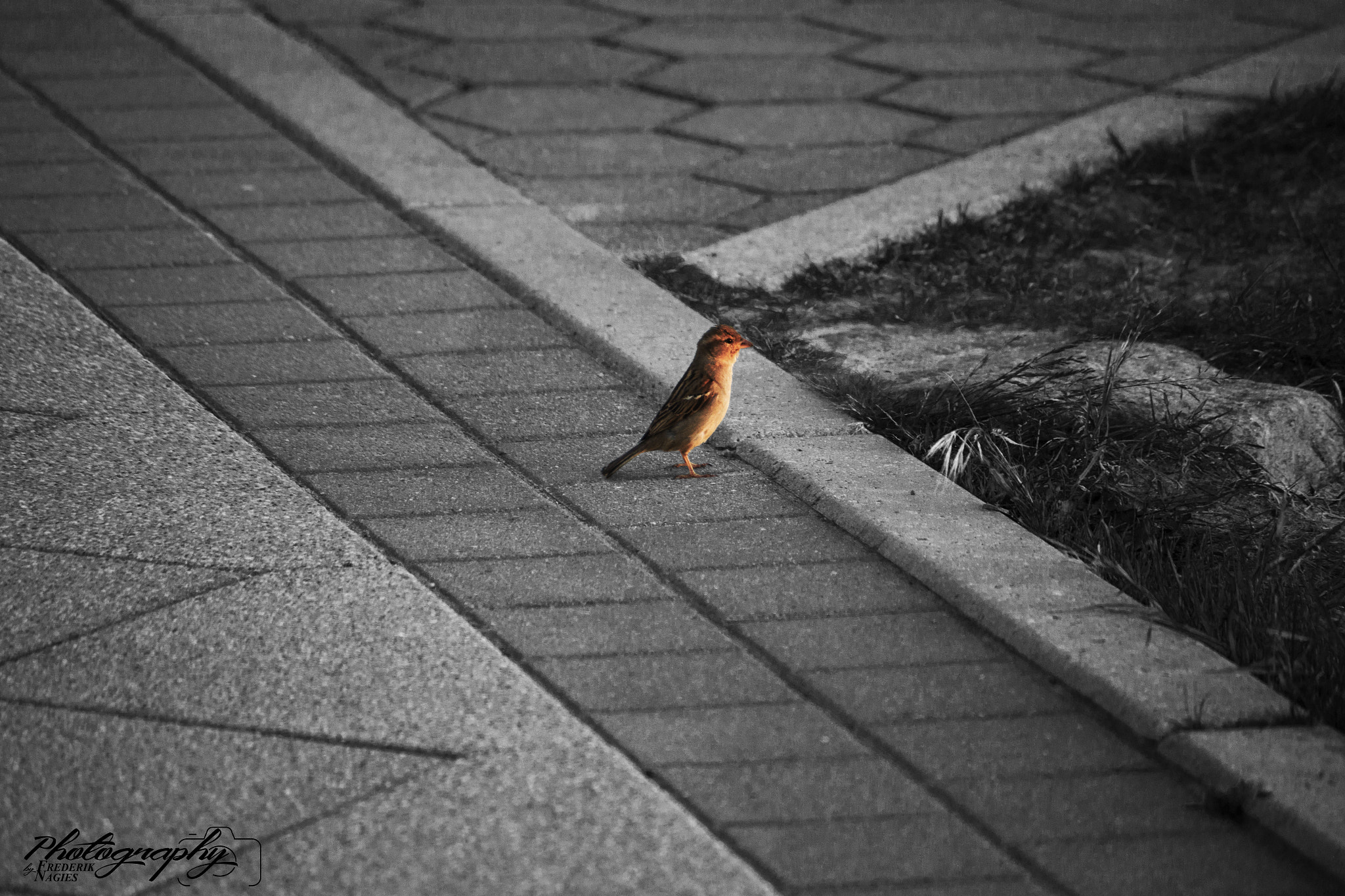 smc PENTAX-DA L 50-200mm F4-5.6 ED sample photo. Good morning photography
