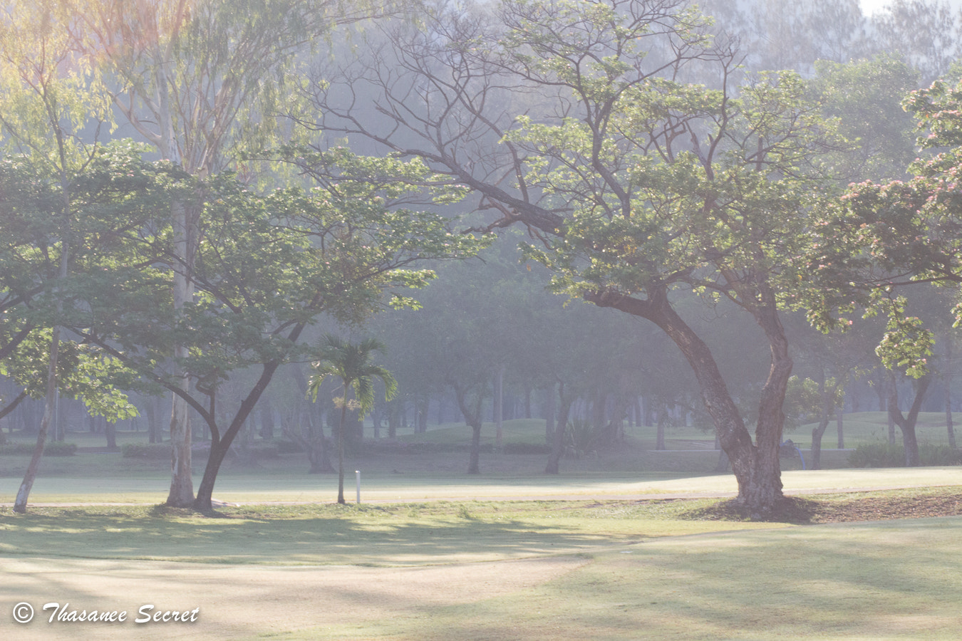 Canon EOS 100D (EOS Rebel SL1 / EOS Kiss X7) + Canon EF 85mm F1.8 USM sample photo. Un jour en thailande. photography