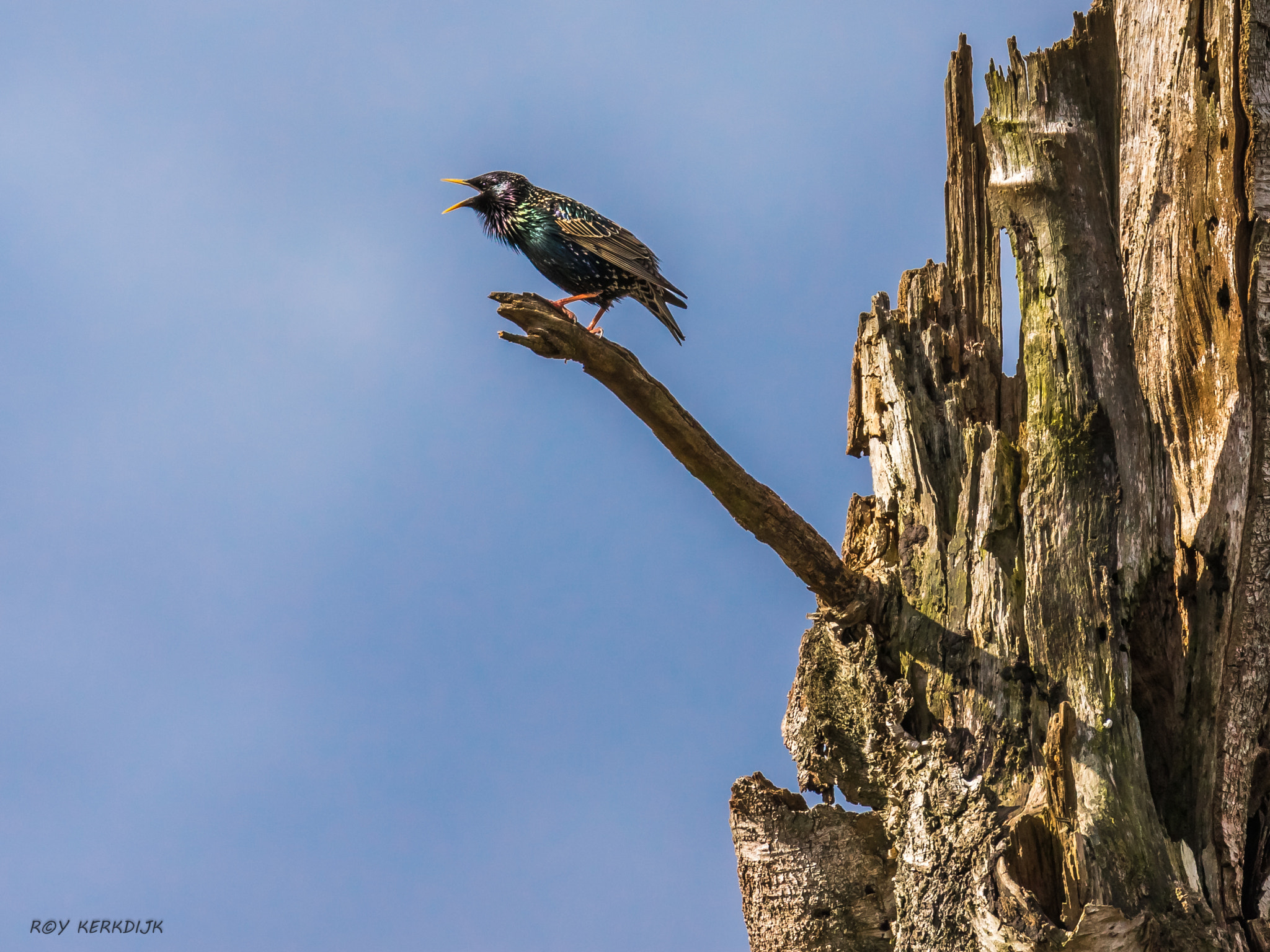 Canon EF 100-400mm F4.5-5.6L IS II USM sample photo. Imgl0876-11.jpg photography