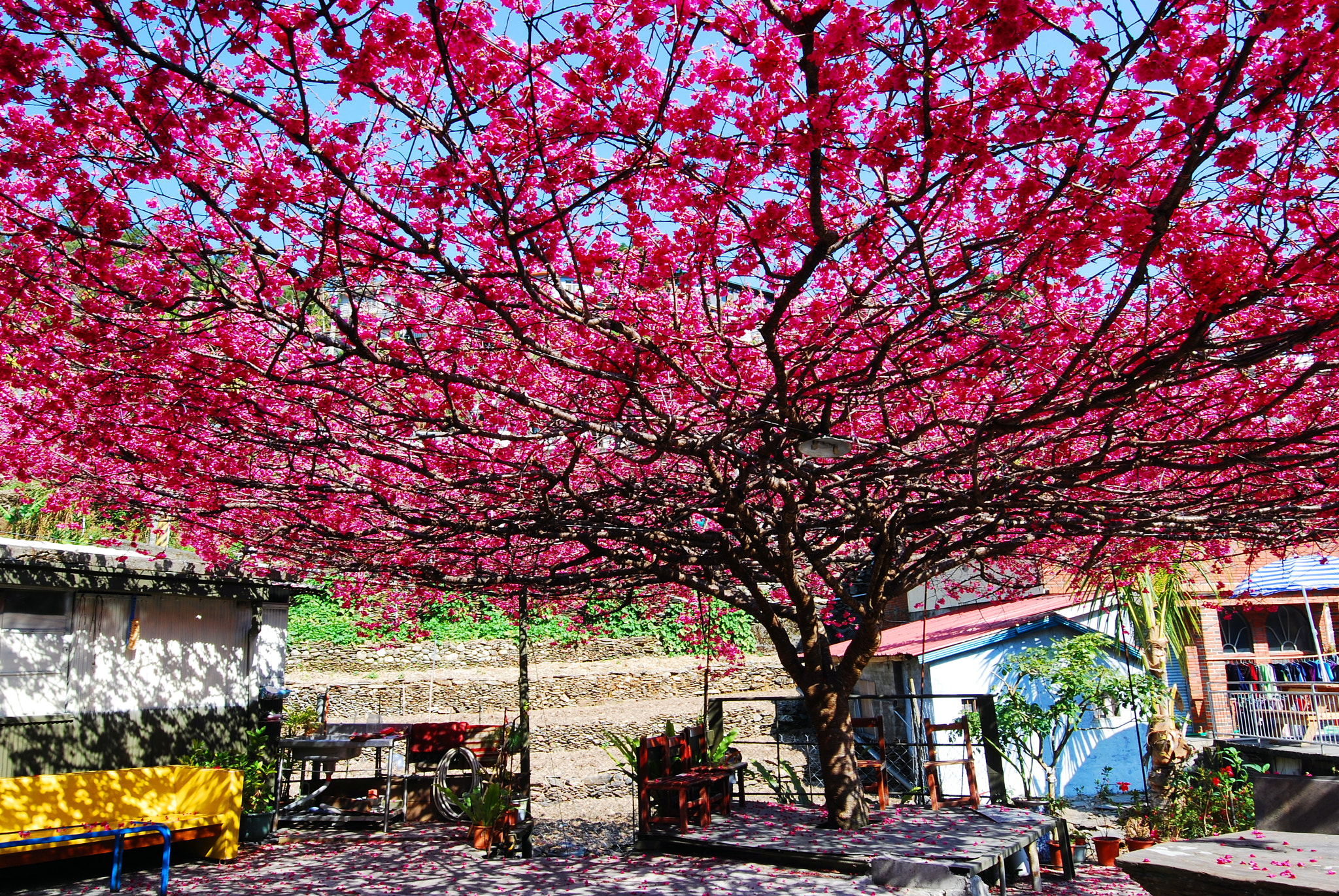 Nikon AF-S Nikkor 16-35mm F4G ED VR sample photo. Dsc_5188..jpg photography
