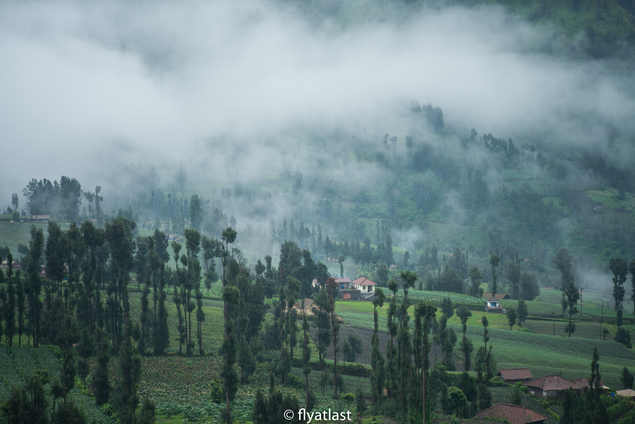 0mm F0 SAM sample photo. Village in the mist photography