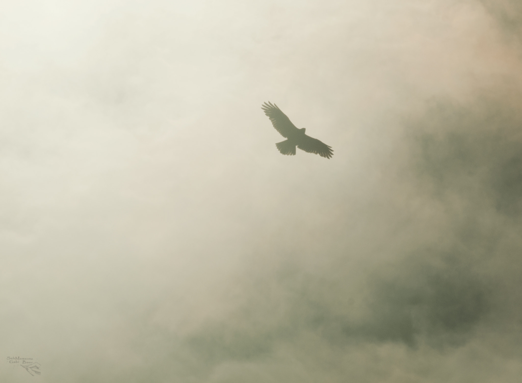 Olympus Zuiko Digital ED 70-300mm F4.0-5.6 sample photo. Up to the sky photography