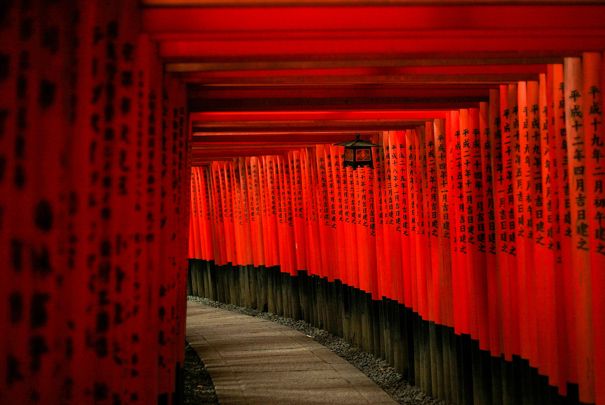 Canon EOS-1D + Canon EF 50mm F1.8 II sample photo. Tori gates of kyoto photography