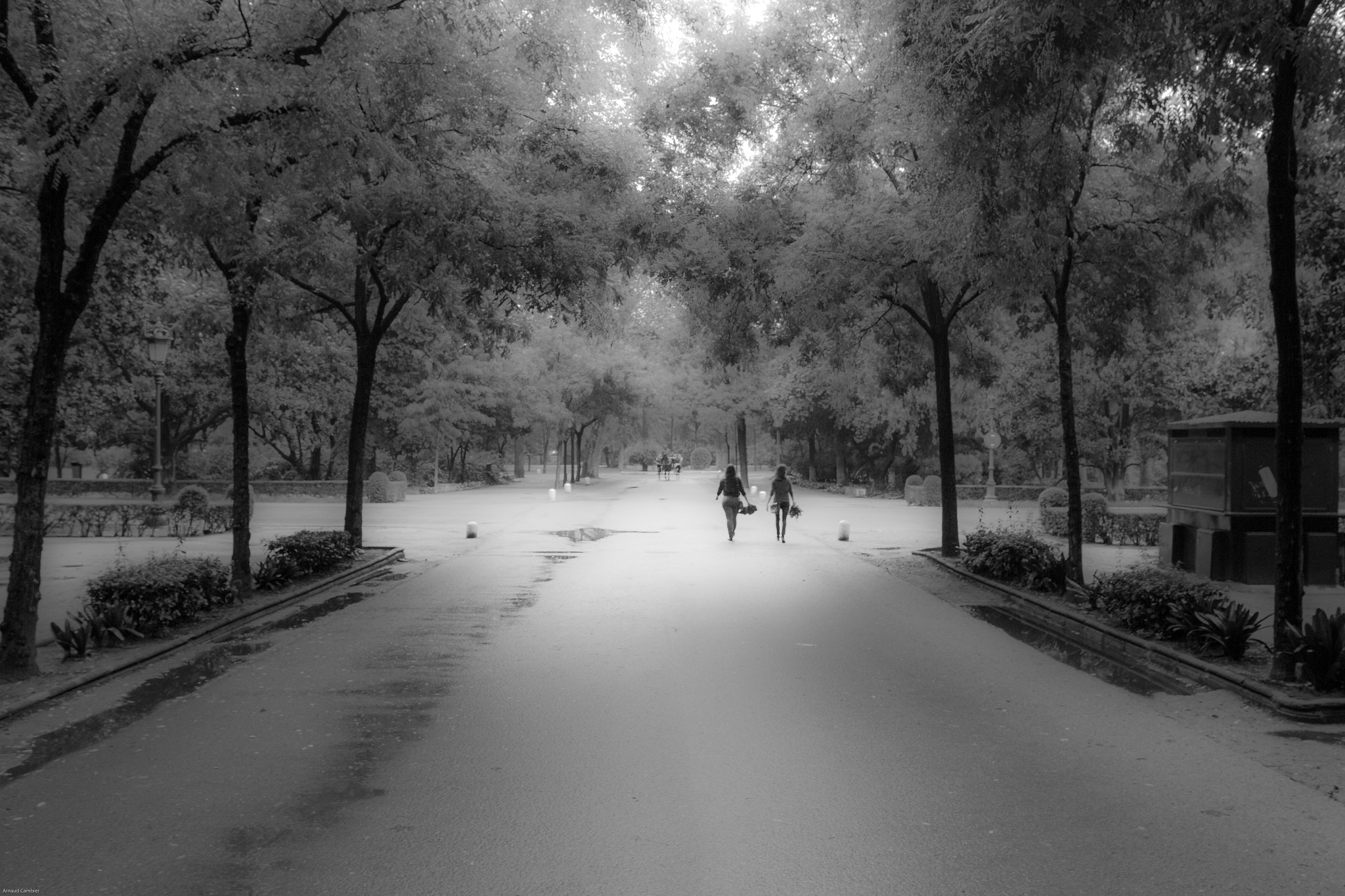 Sigma 18-35mm f/1.8 DC HSM sample photo. Parque de maria luisa photography