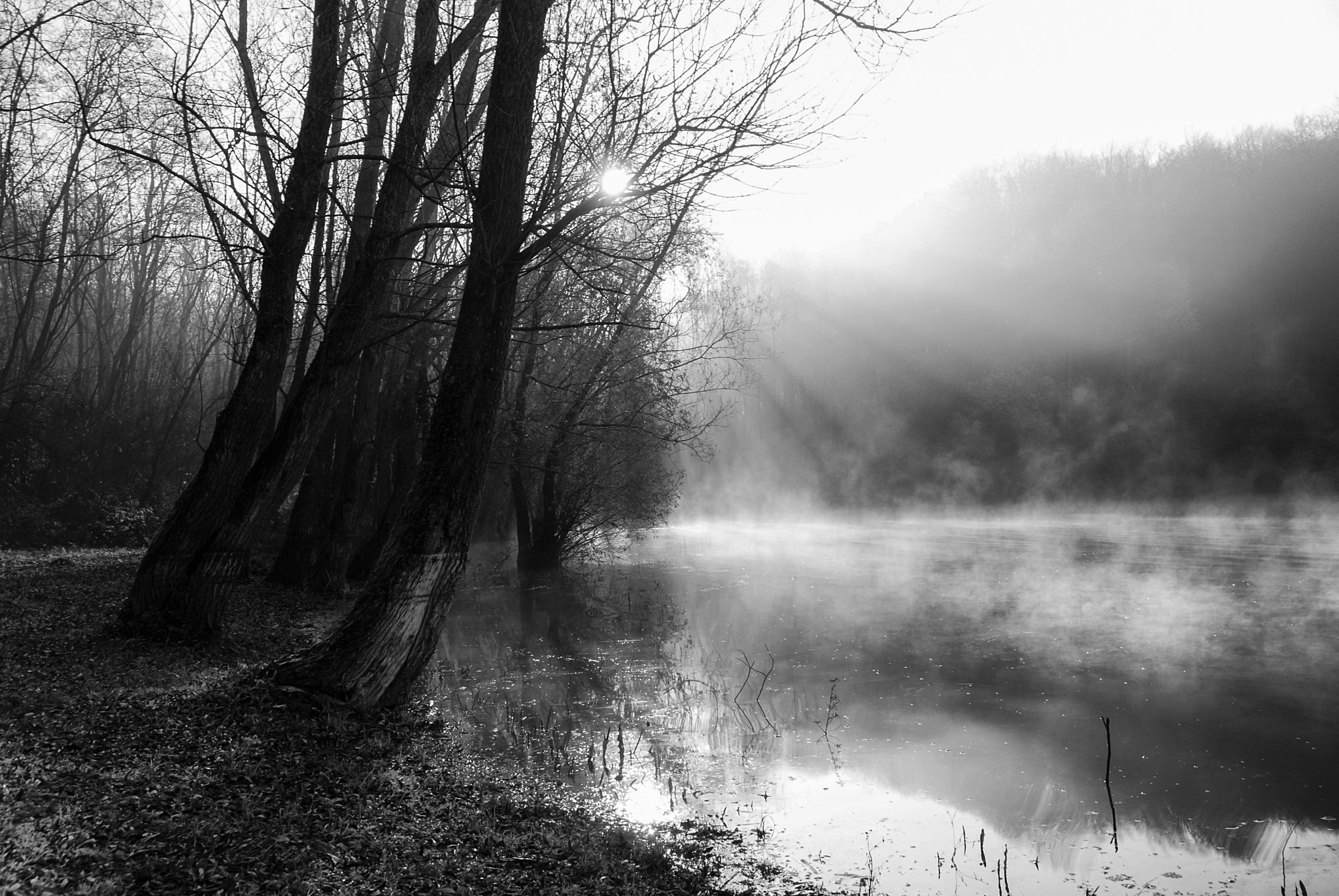 Nikon D200 + Sigma 17-70mm F2.8-4.5 DC Macro Asp. IF sample photo. Sunrise on the lake ii photography