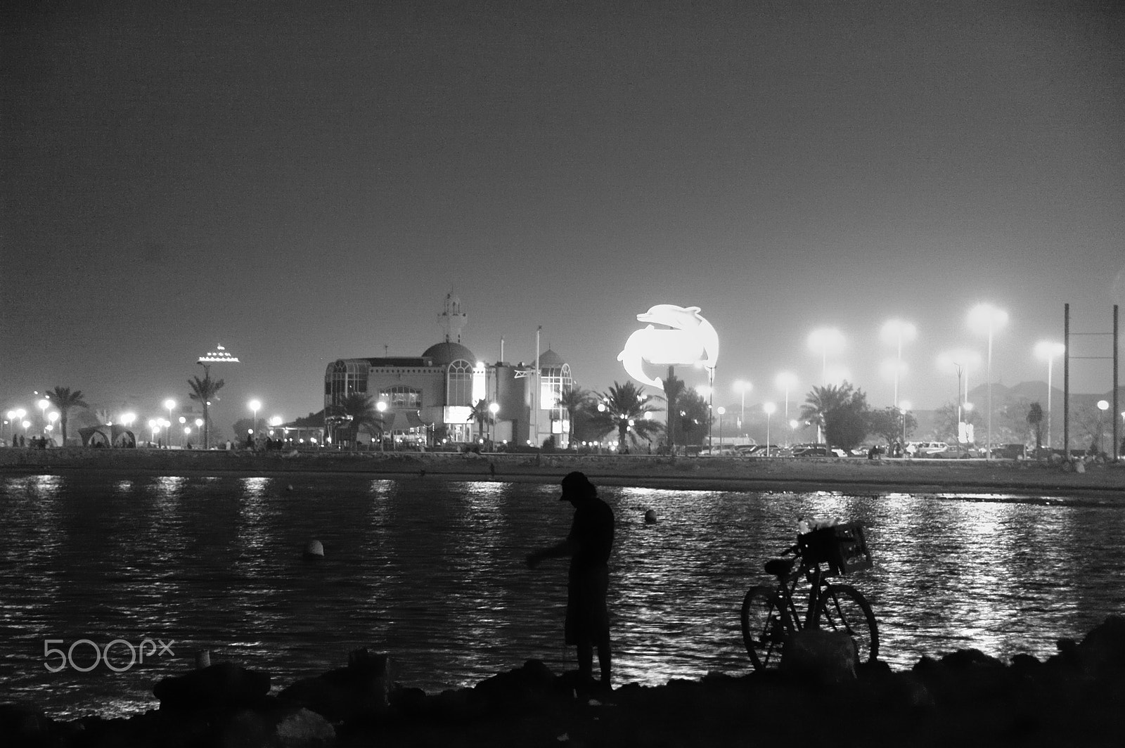 Nikon D70 sample photo. صياد في ليل photography