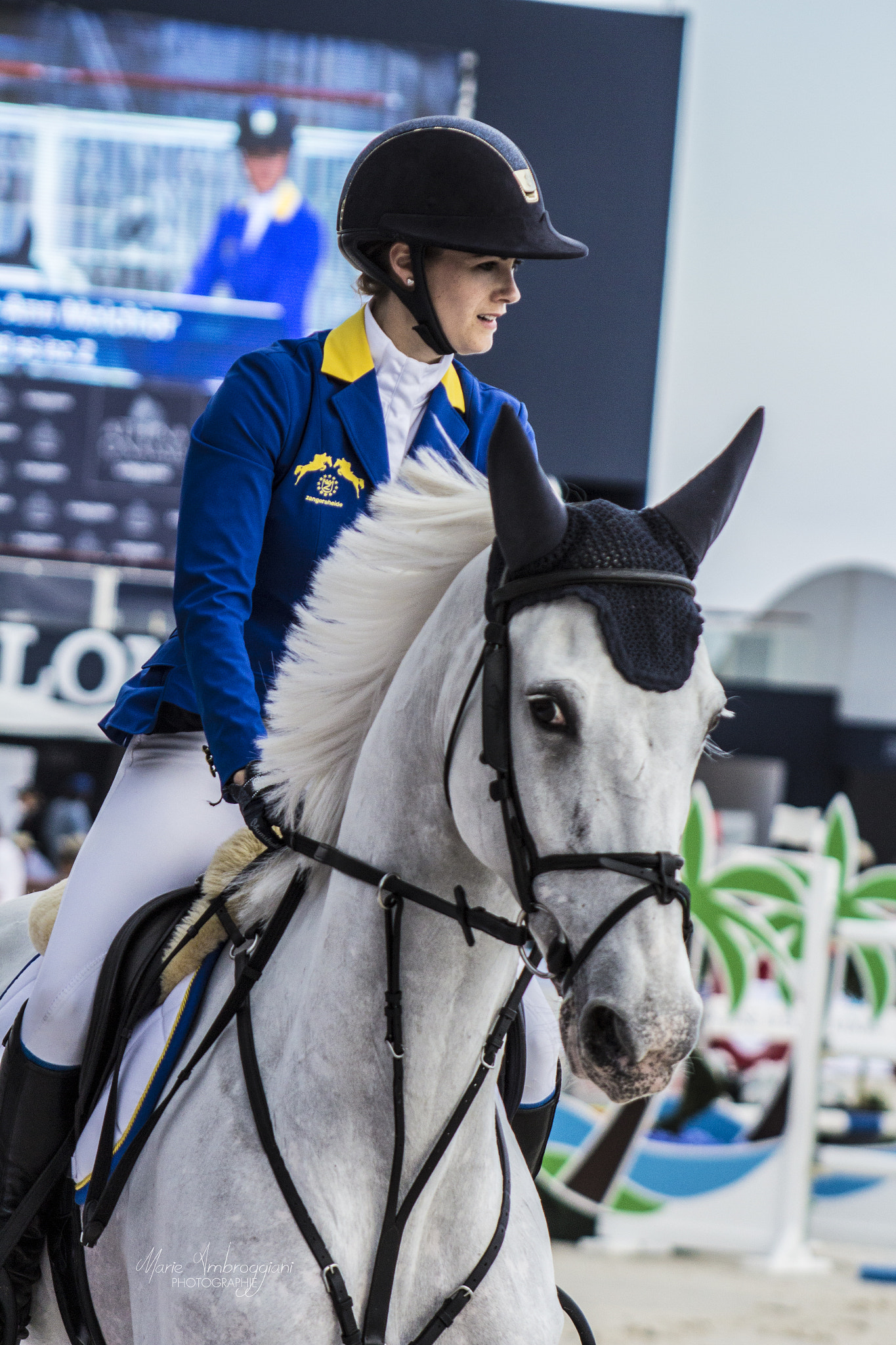 Canon EOS 600D (Rebel EOS T3i / EOS Kiss X5) + Canon EF 100-300mm F4.5-5.6 USM sample photo. Athina onassis horse show. photography