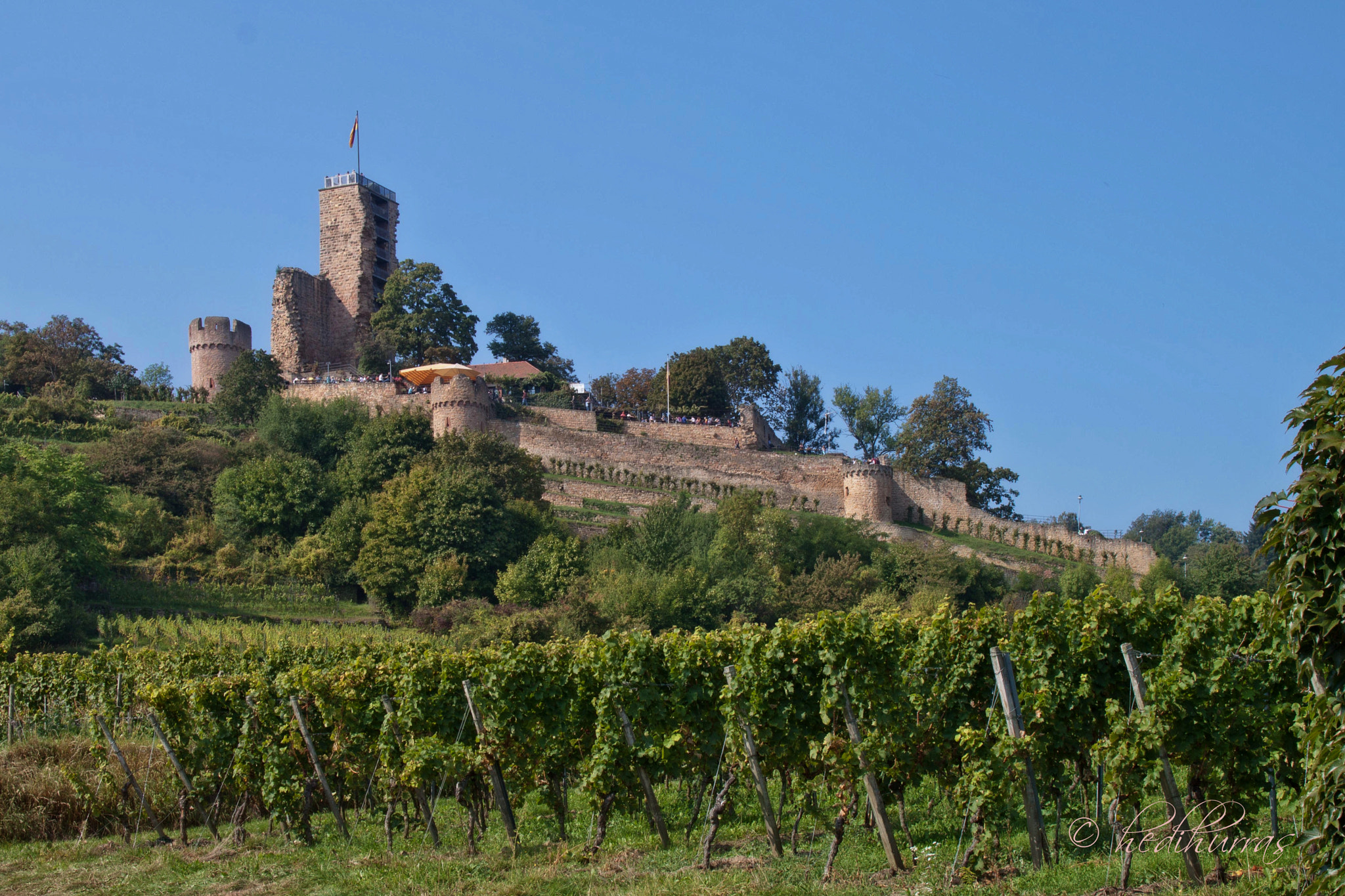 Canon EOS 500D (EOS Rebel T1i / EOS Kiss X3) sample photo. Germany, palatinat  wachtenburg near wachenheim photography
