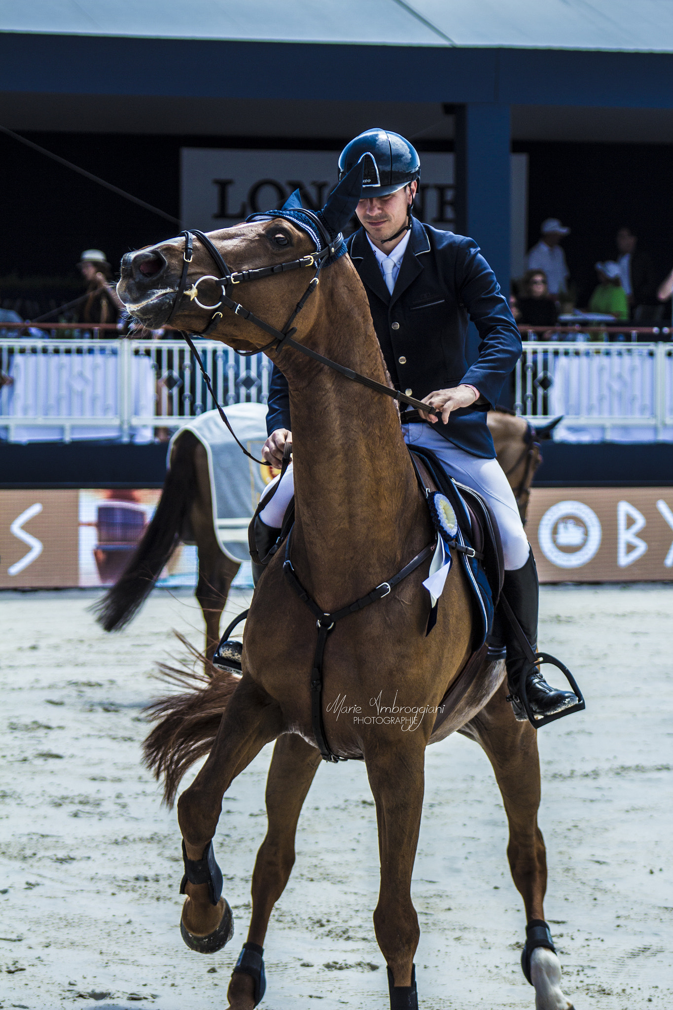 Canon EF 100-300mm F4.5-5.6 USM sample photo. Athina onassis horse show. photography