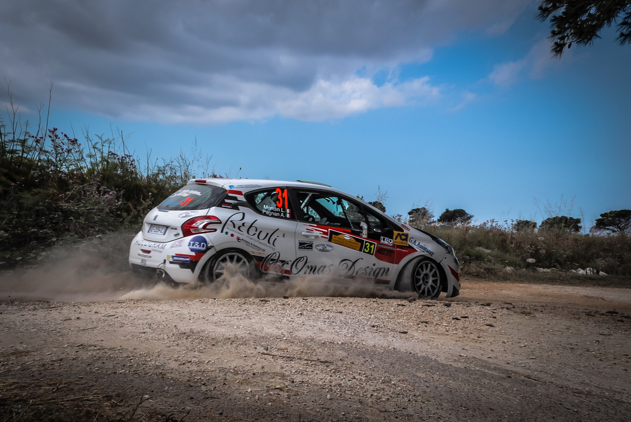 Sigma 17-50mm F2.8 EX DC OS HSM sample photo. Rally photography