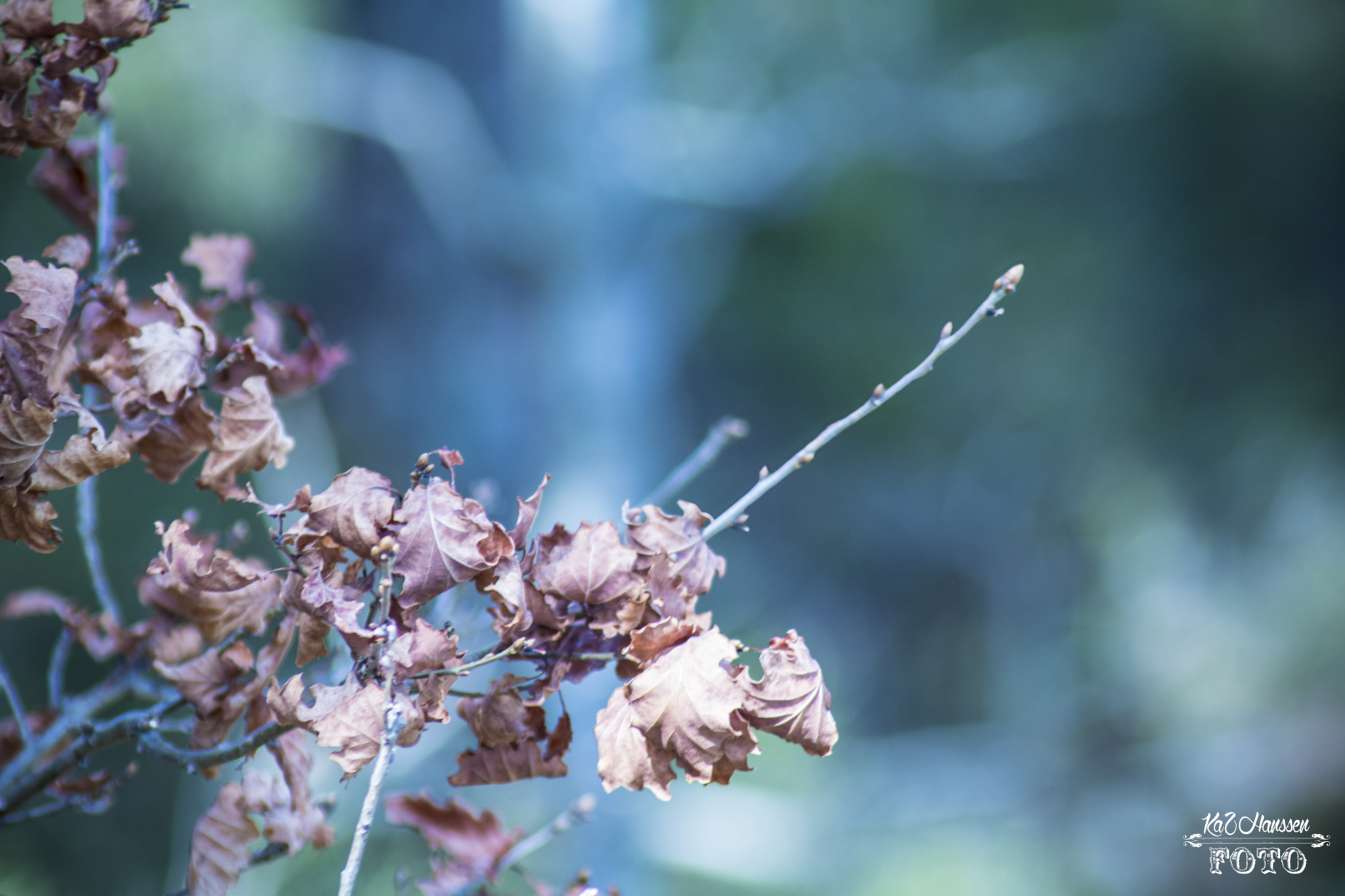 Canon EOS 750D (EOS Rebel T6i / EOS Kiss X8i) sample photo. Expo photography