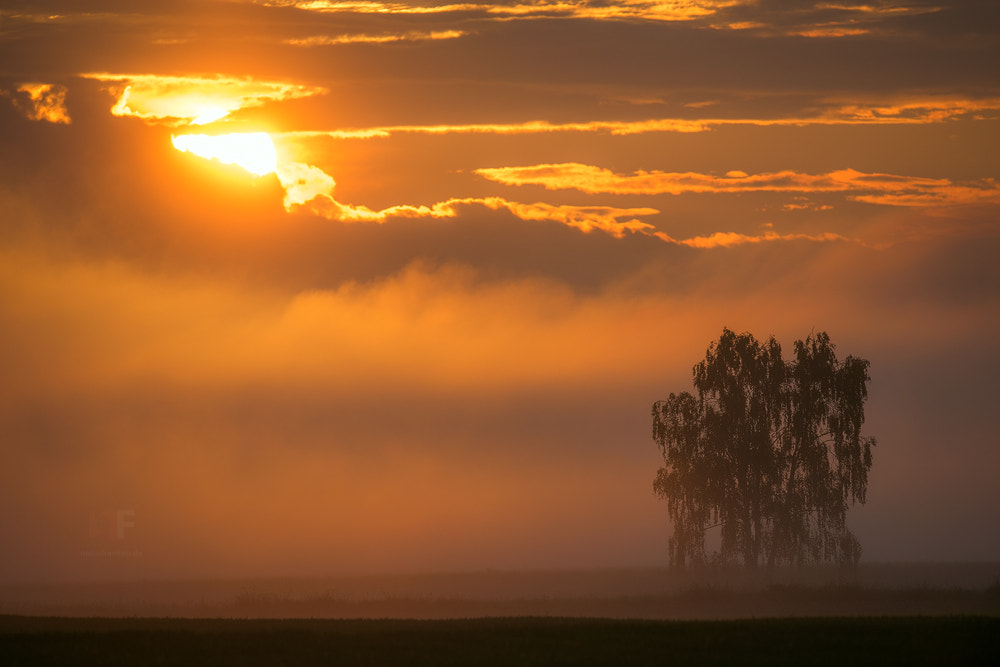 Nikon AF-S Nikkor 400mm F2.8G ED VR II sample photo. After the storm photography