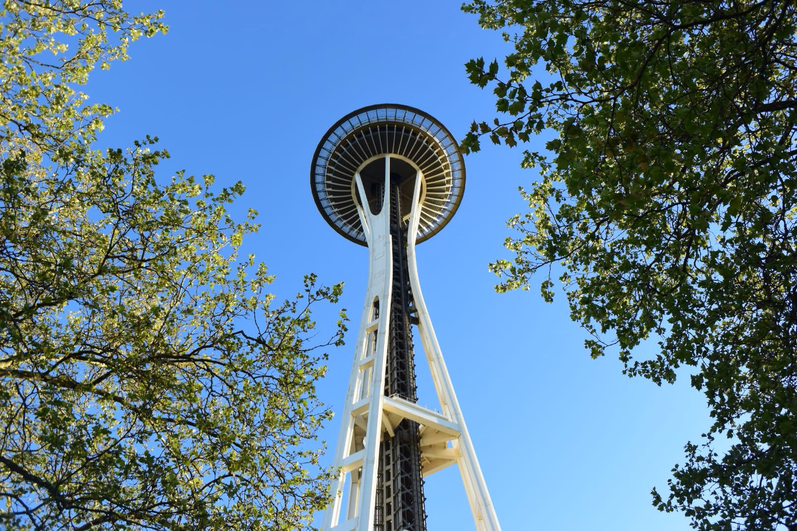 Nikon 1 J4 sample photo. Shot in seattle back in 2014 photography