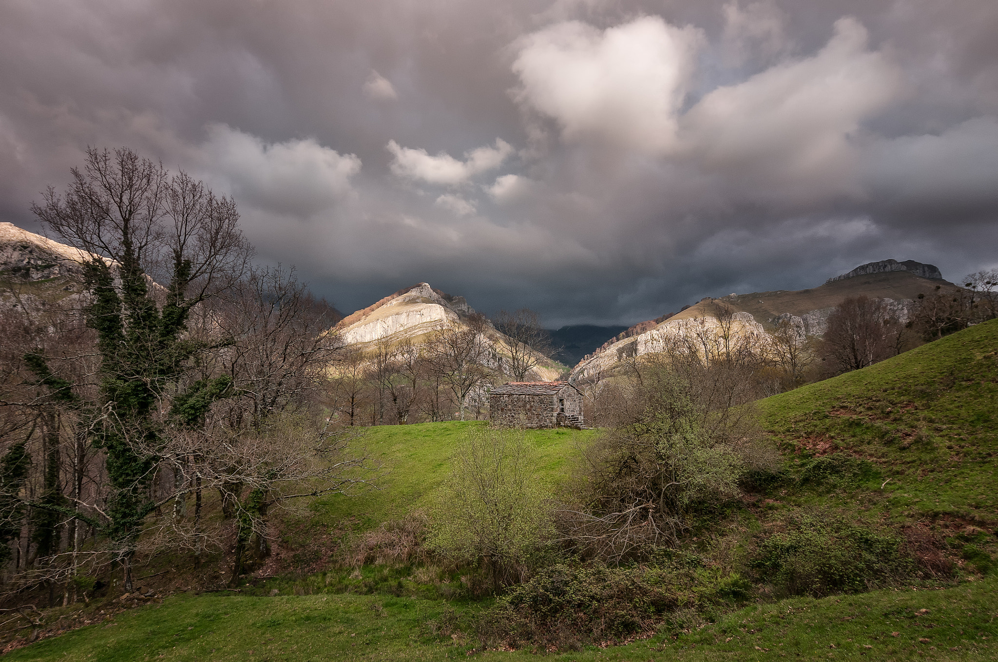 Nikon D300S sample photo. If you go... photography