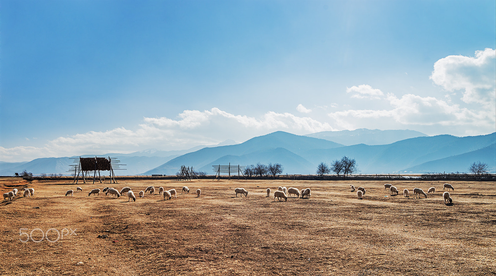 Sony Alpha a99 sample photo. Yila grassland photography