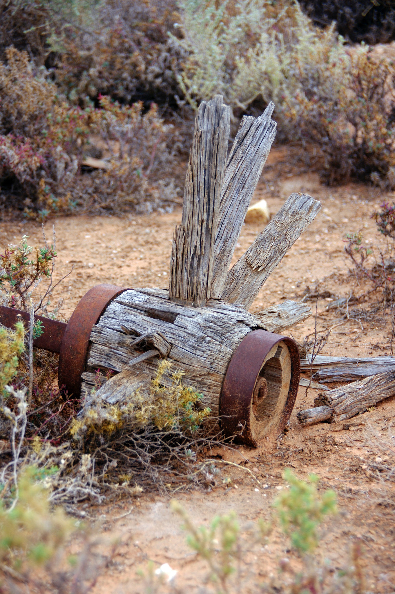 Pentax K-7 sample photo