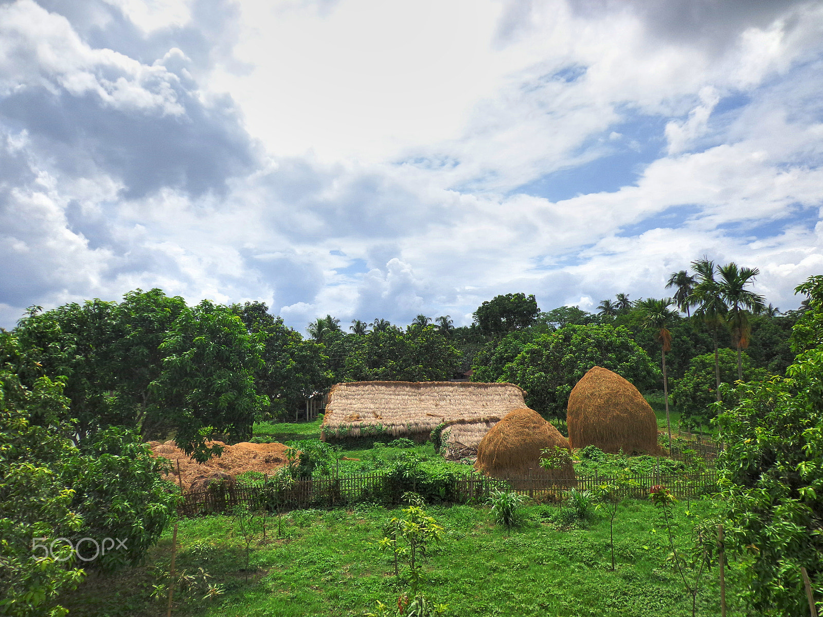 Sony DSC-W650 sample photo. Beautiful bangladesh photography