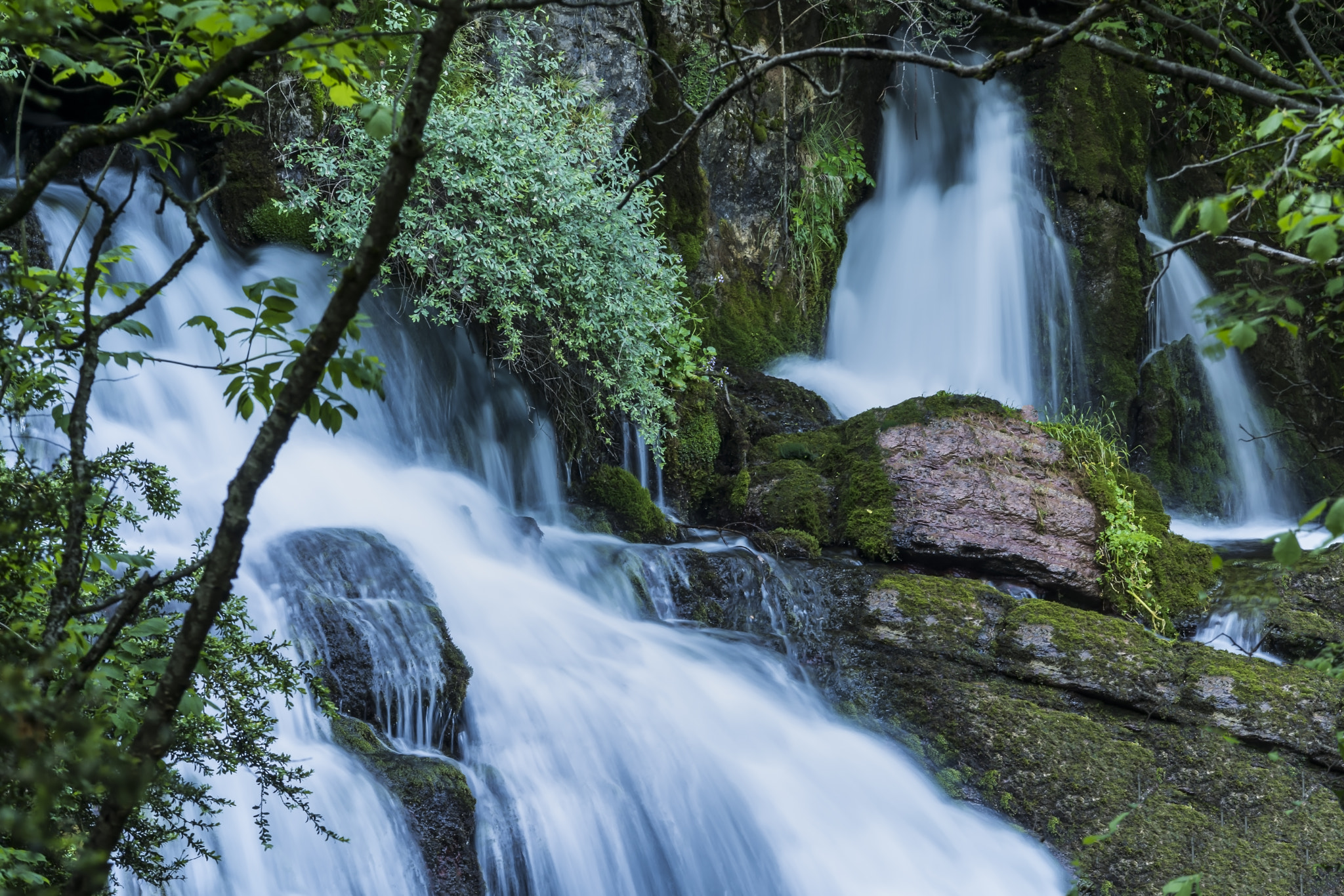 Nikon D7100 + Sigma 50-150mm F2.8 EX APO DC HSM II sample photo. Naturaleza en movimiento / moviment natura photography