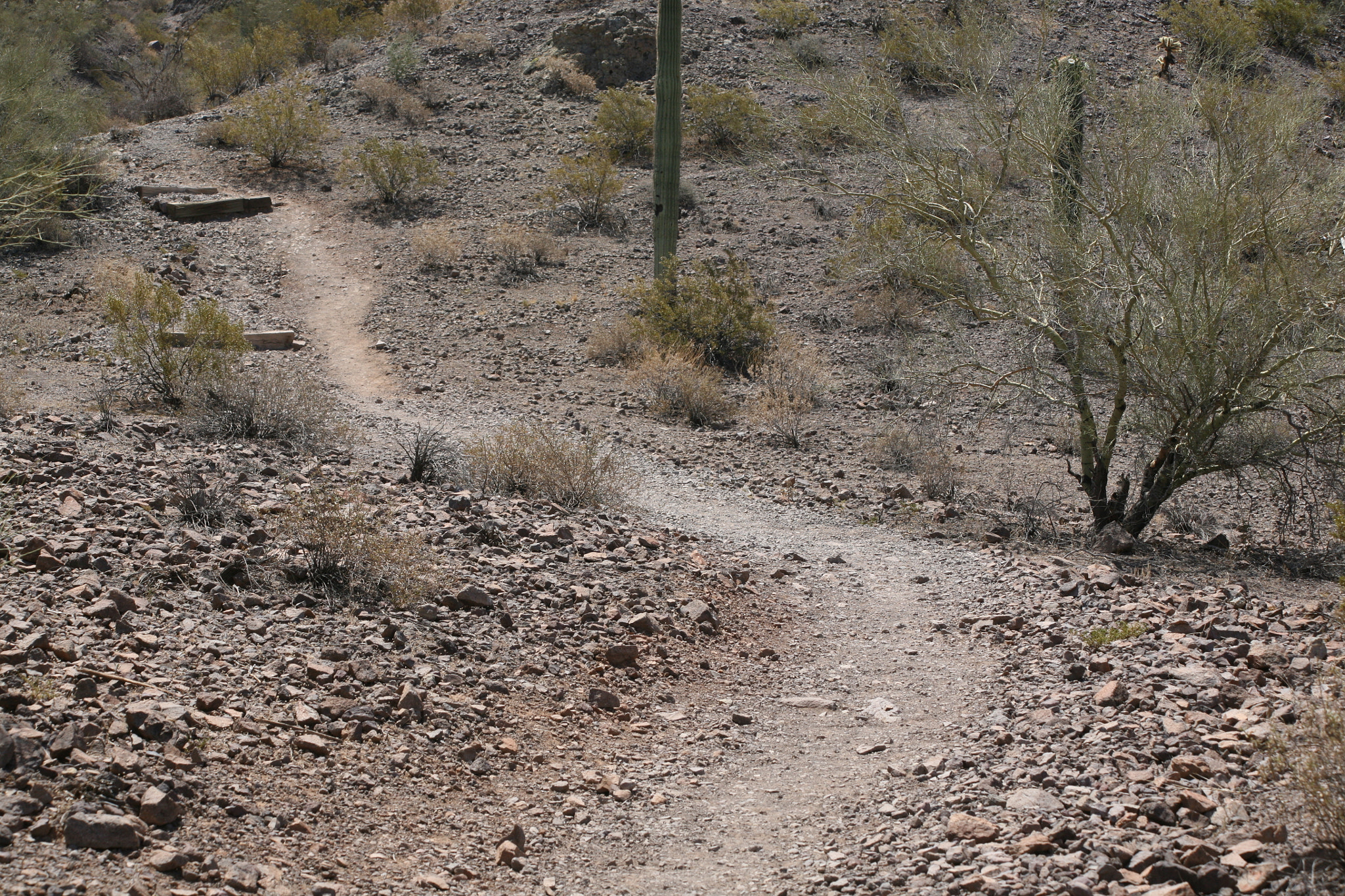 Canon EF 75-300mm F4.0-5.6 IS USM sample photo. Desert hiking photography
