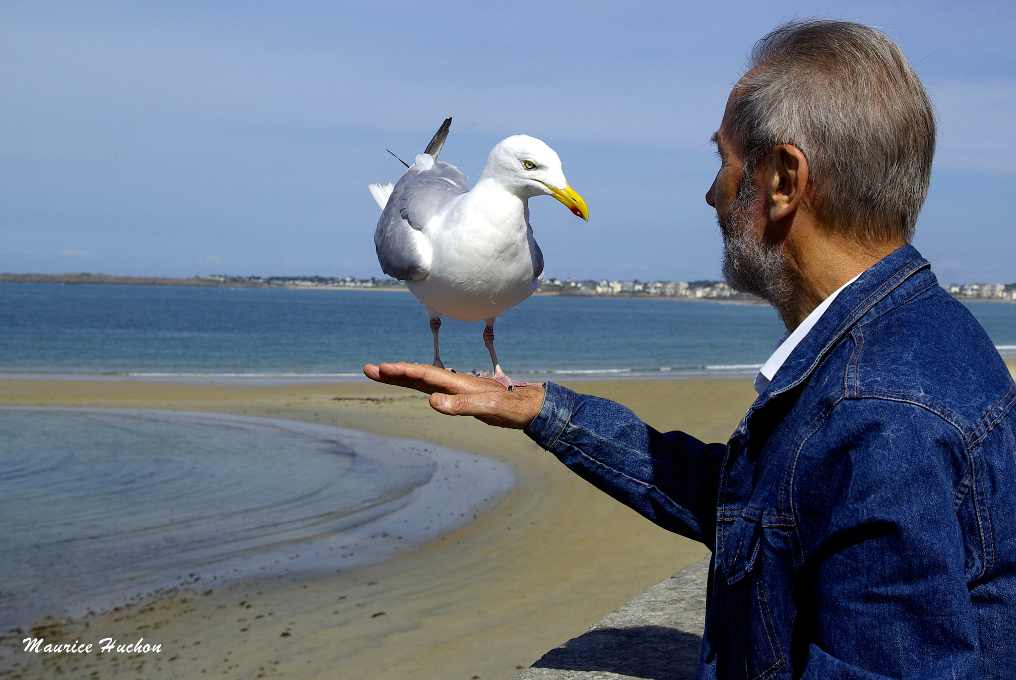 Pentax K10D sample photo. L'homme qui parle aux goélands... photography