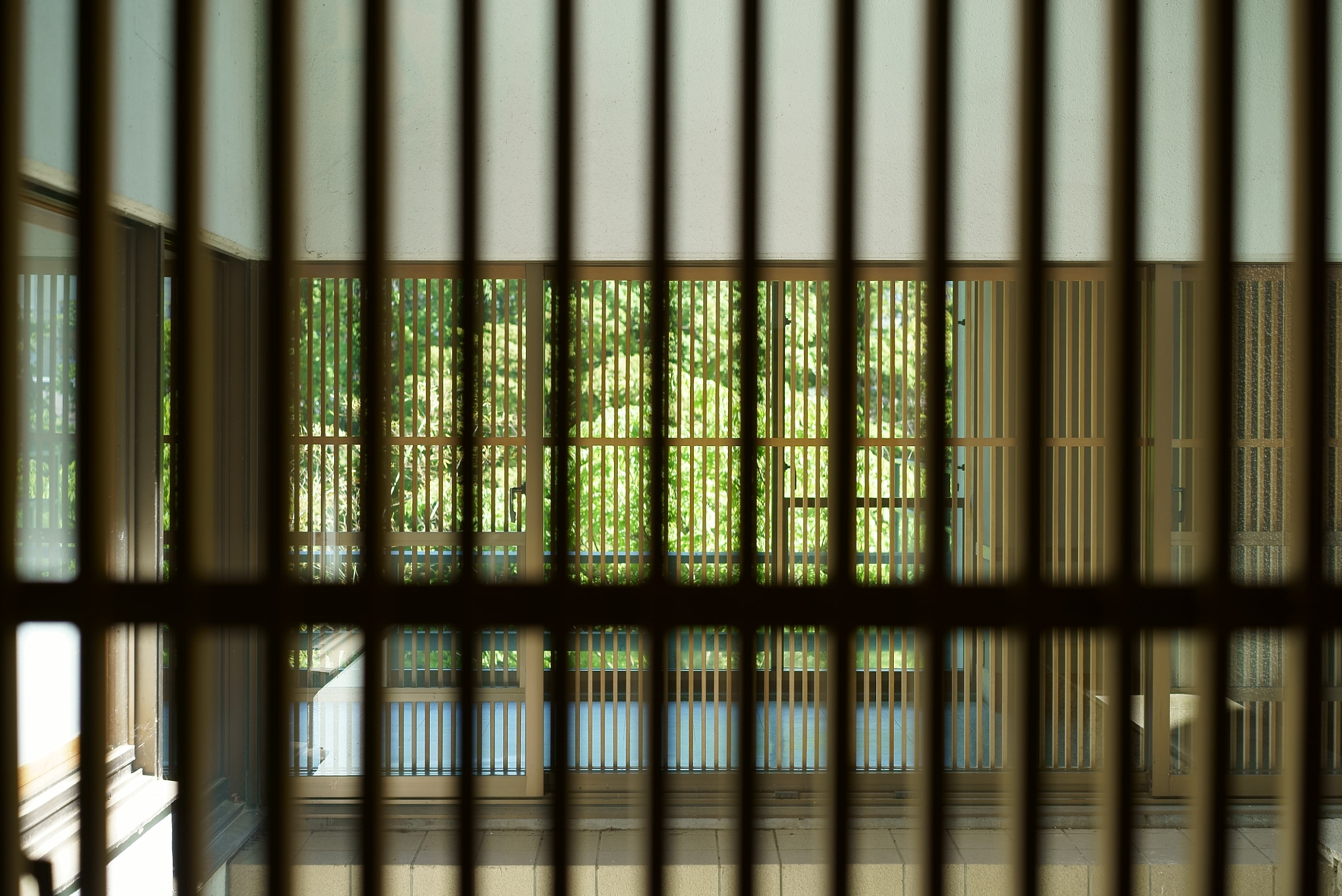 Sony a7S + Sony Sonnar T* FE 55mm F1.8 ZA sample photo. Koushido photography