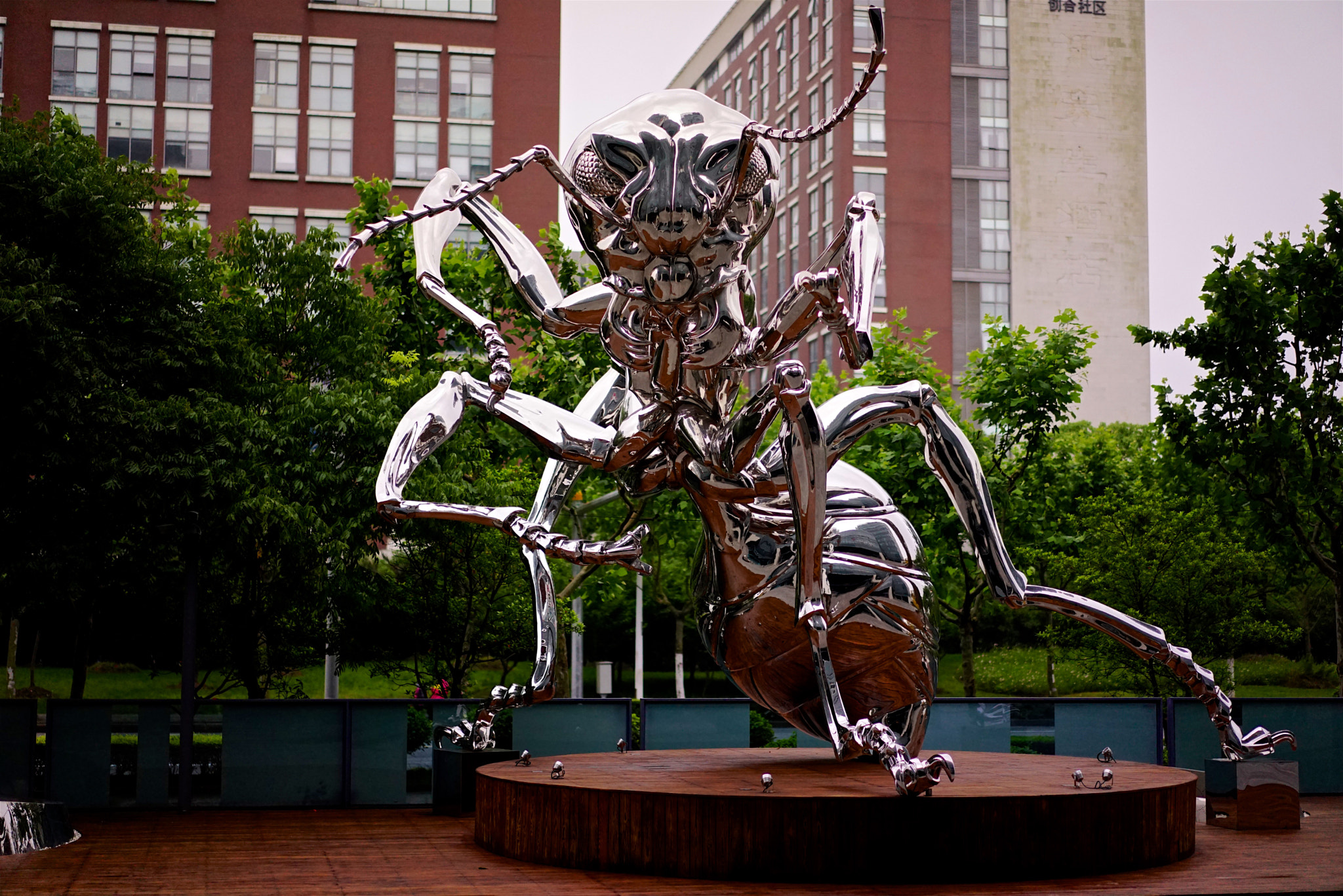 Sony a7R + Sony Sonnar T* FE 55mm F1.8 ZA sample photo. Silver ant photography